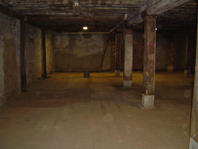 1303 West College Street Property Photo 19