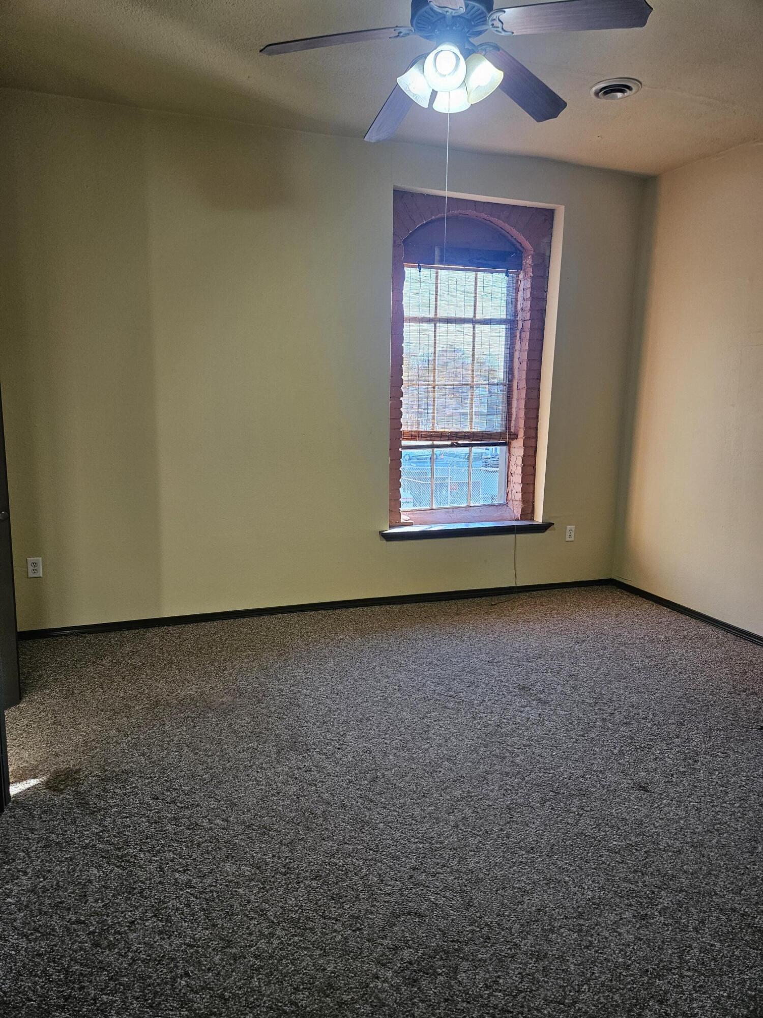 1303 West College Street Property Photo 33