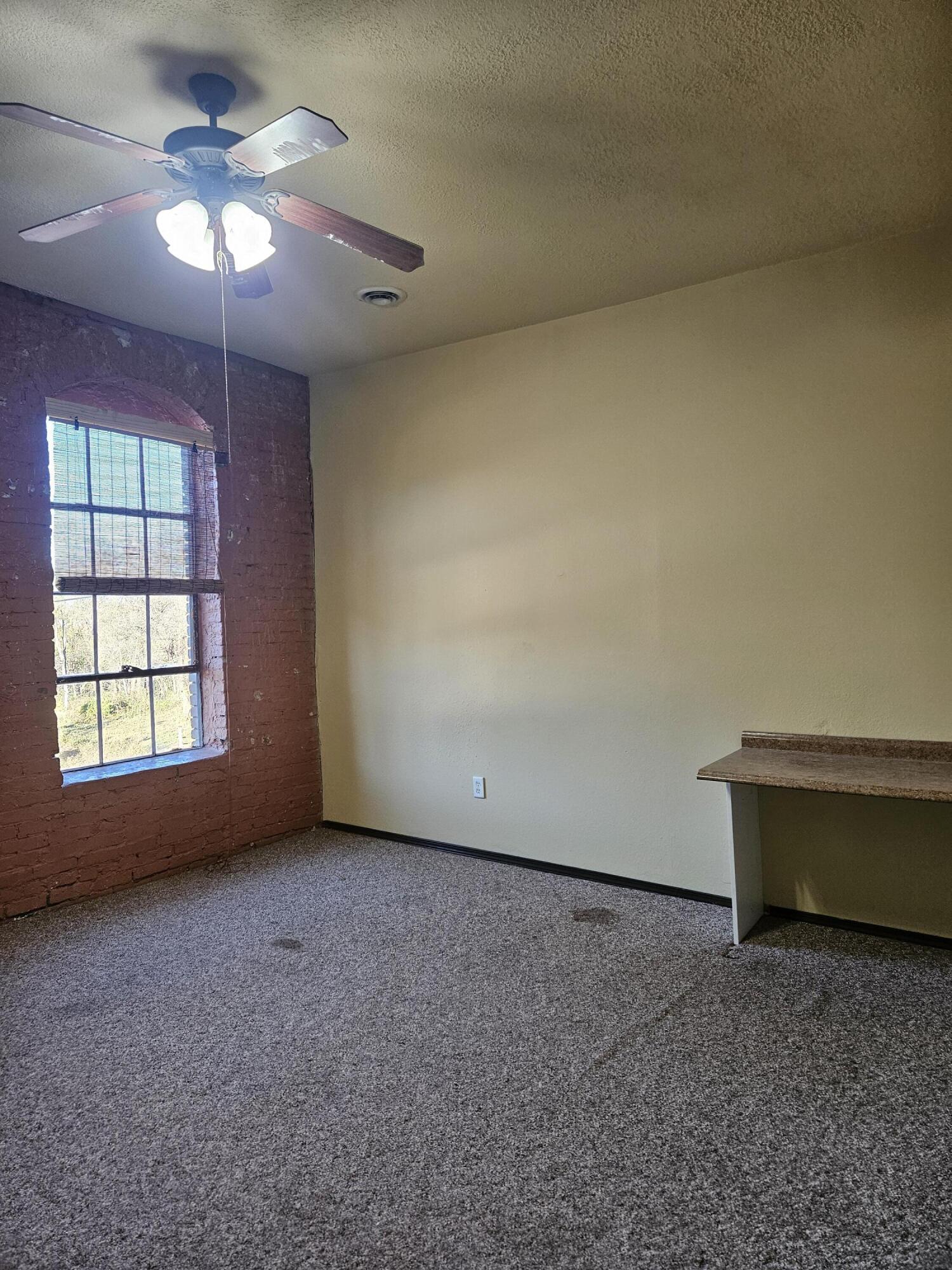 1303 West College Street Property Photo 37
