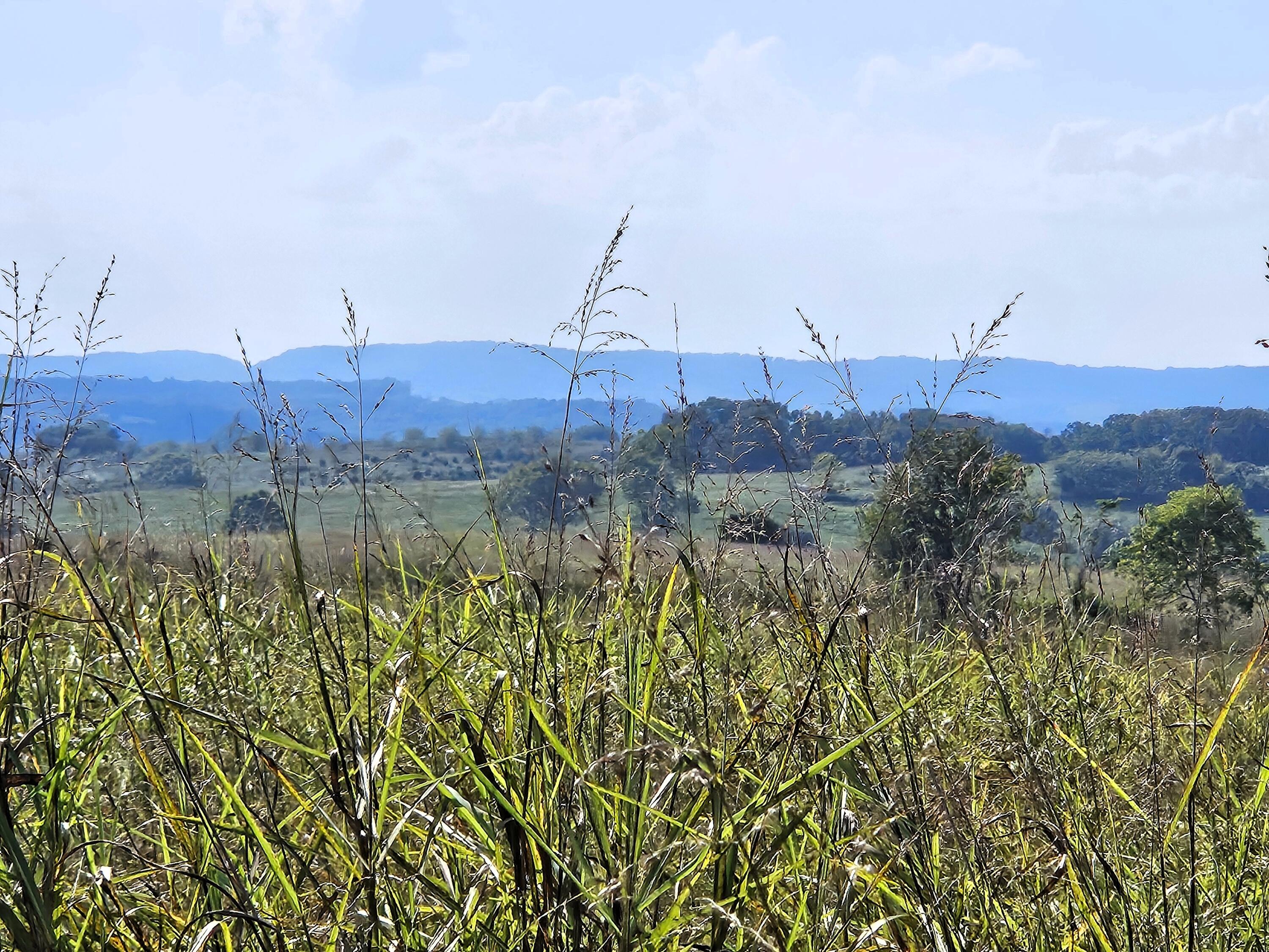 4160 State Highway Jj Property Photo 3