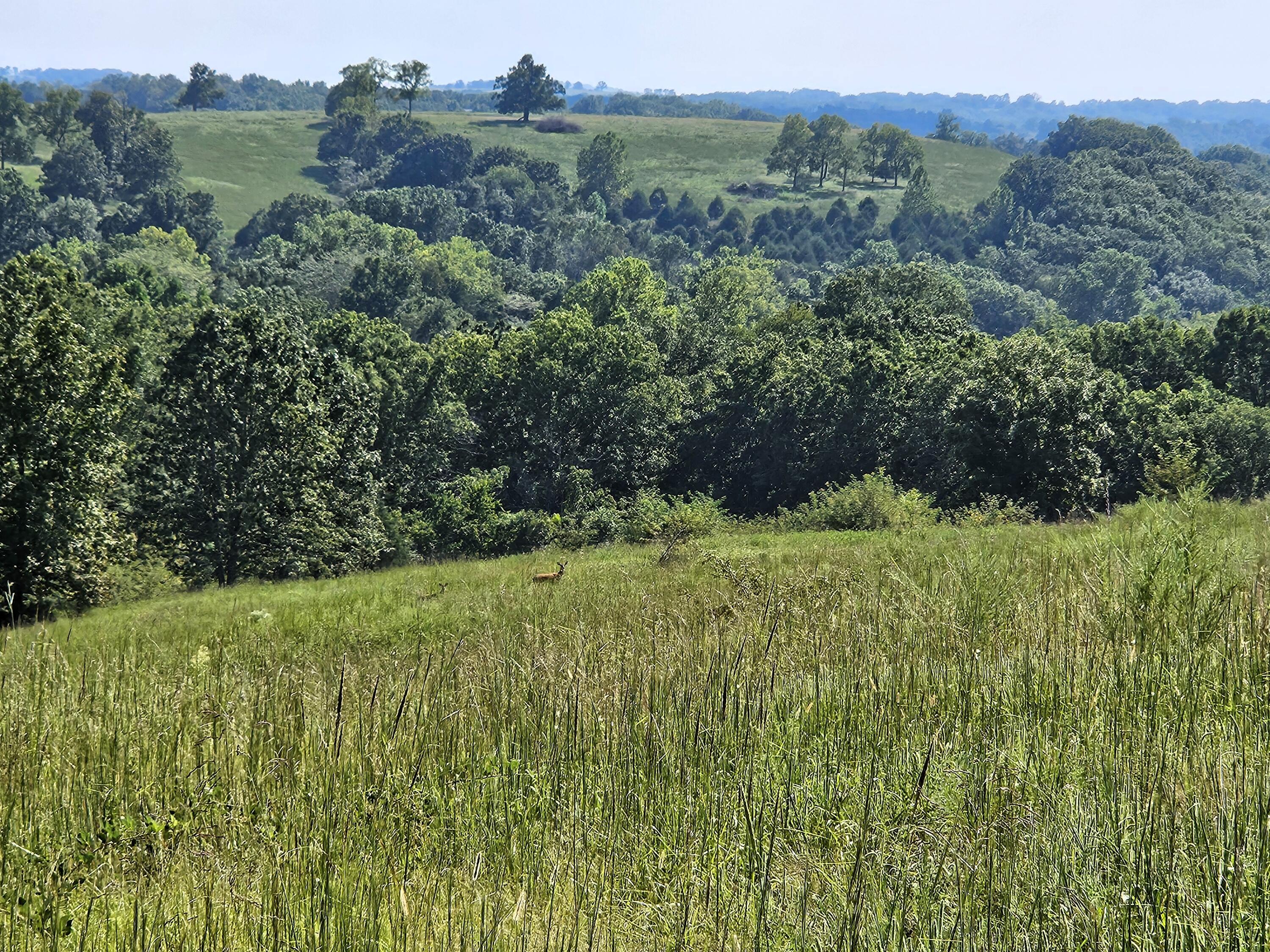 4160 State Highway Jj Property Photo 4