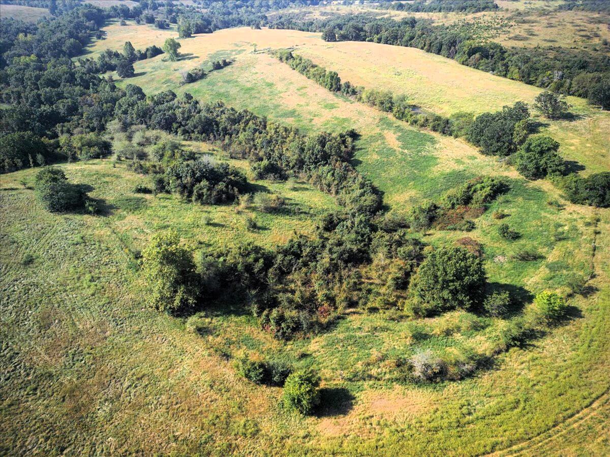 4160 State Highway Jj Property Photo 12