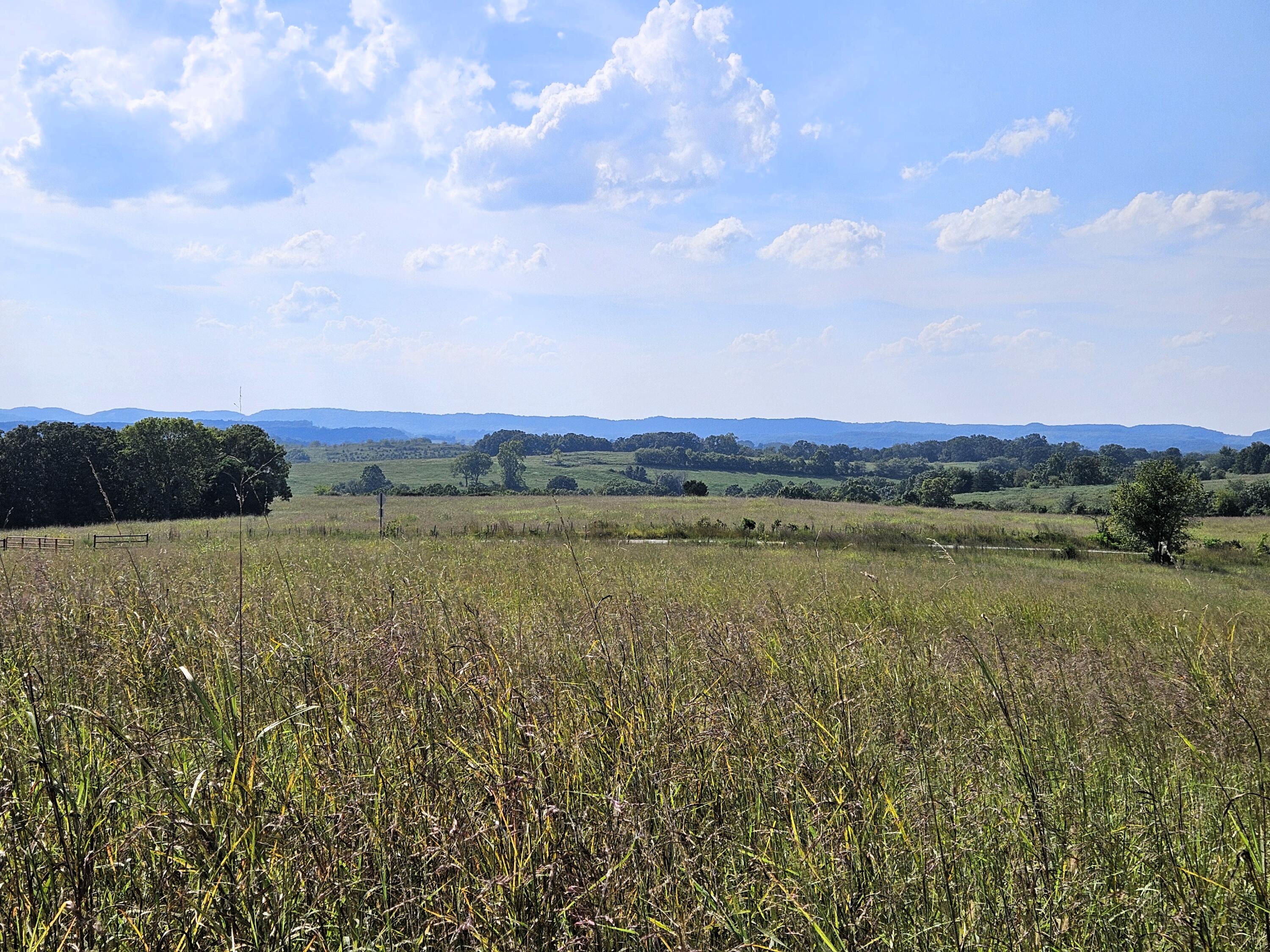 4160 State Highway Jj Property Photo 13