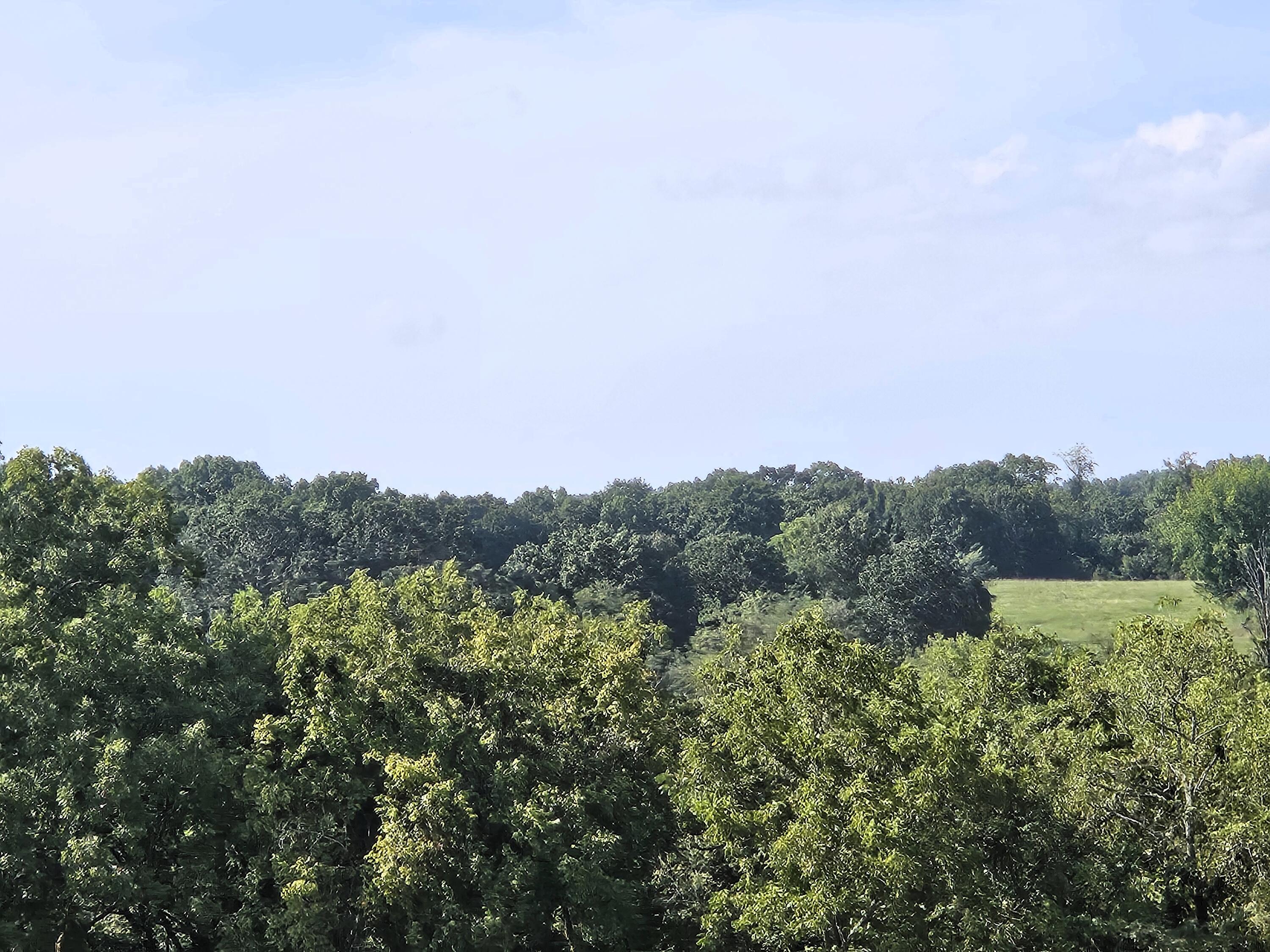 4160 State Highway Jj Property Photo 17