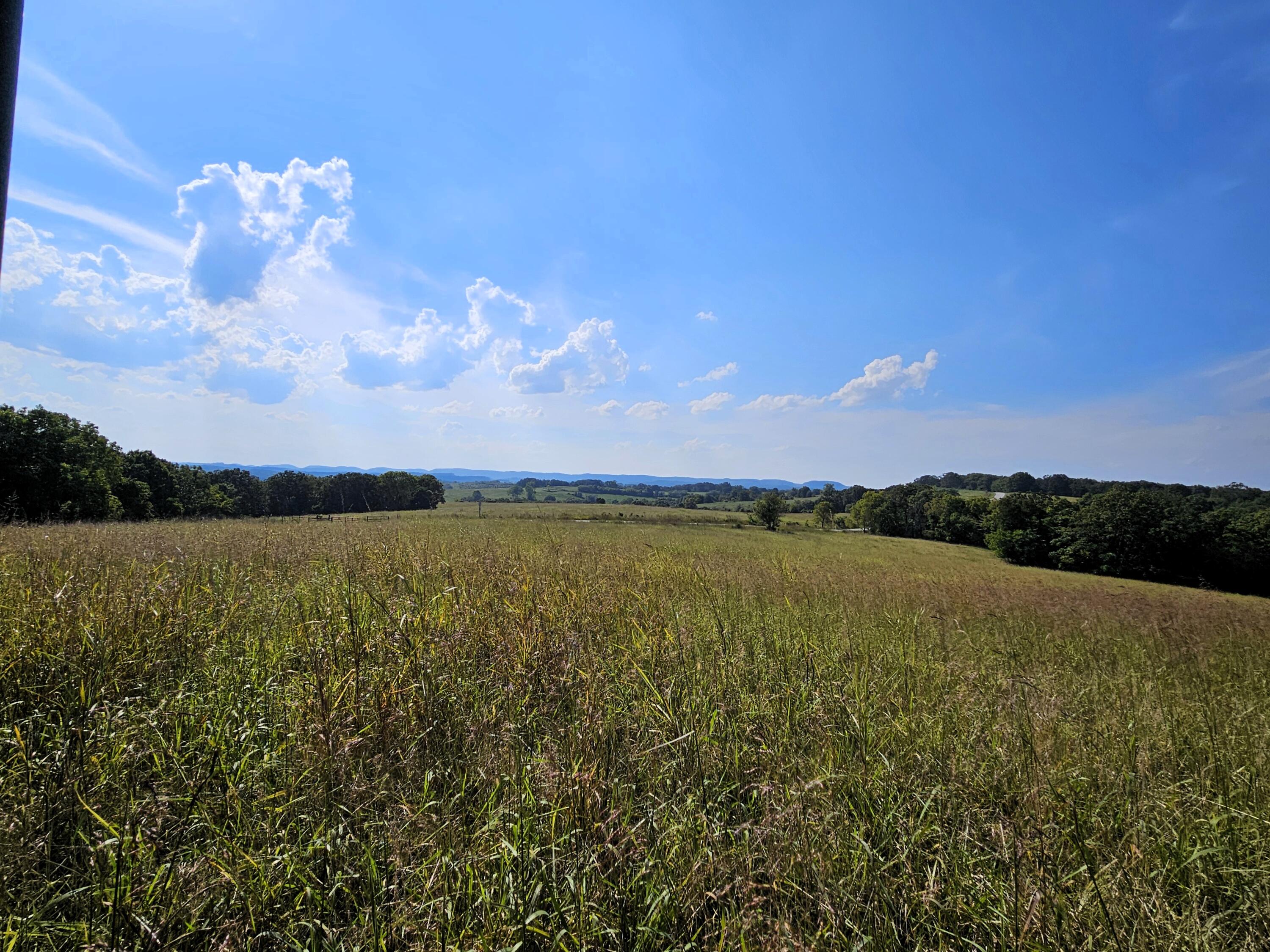 4160 State Highway Jj Property Photo 18