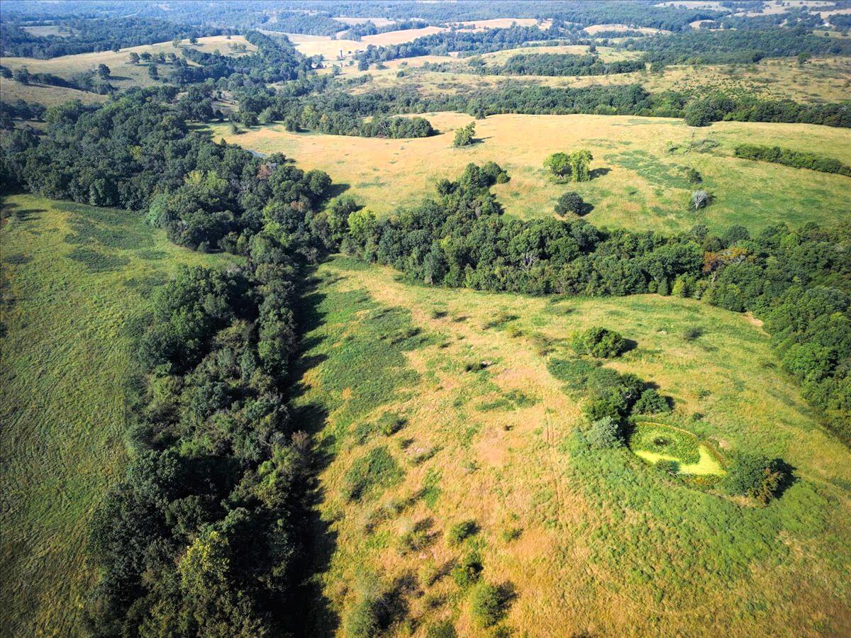 4160 State Highway Jj Property Photo 23