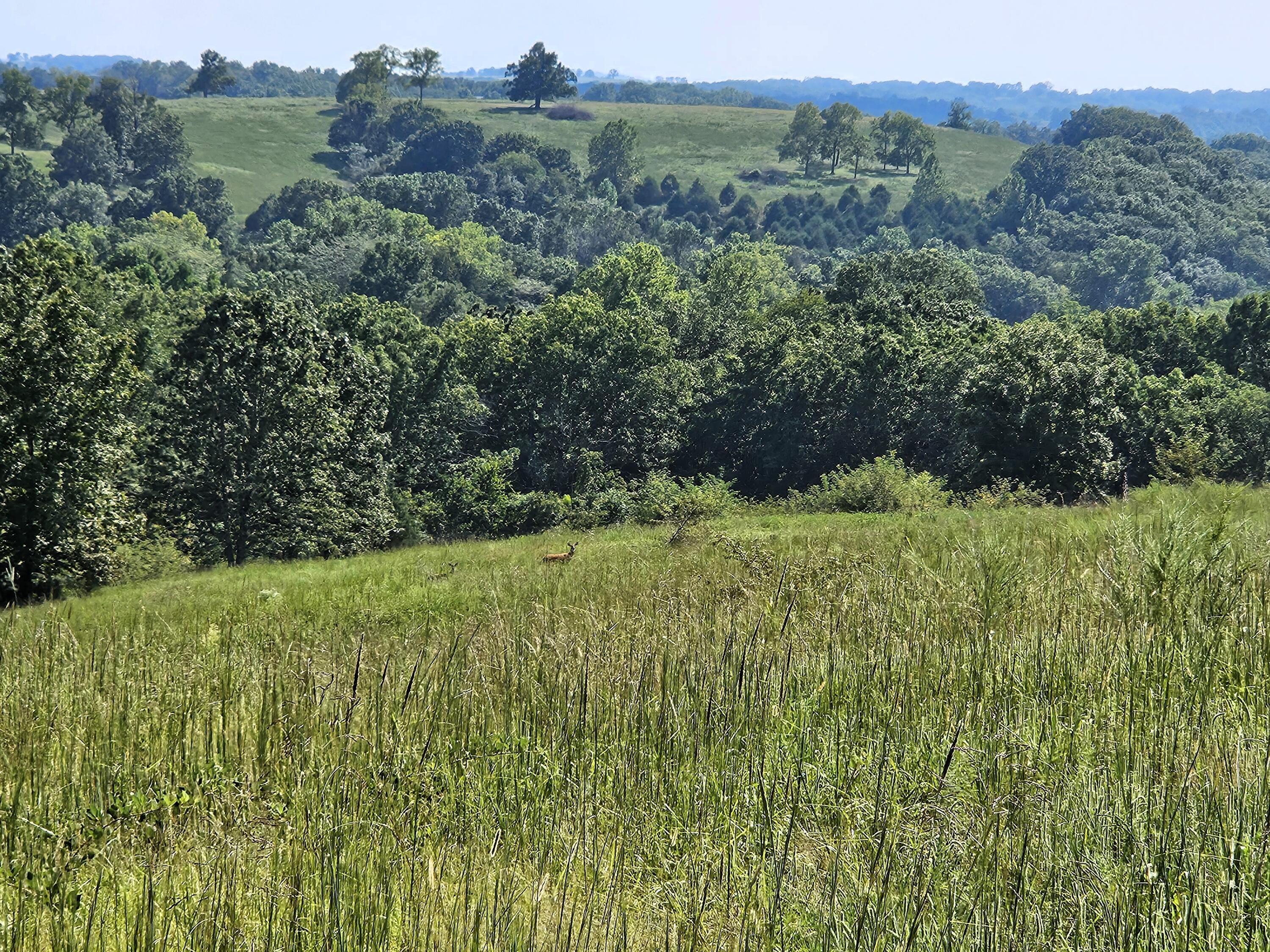 4160 State Highway Jj Property Photo 25