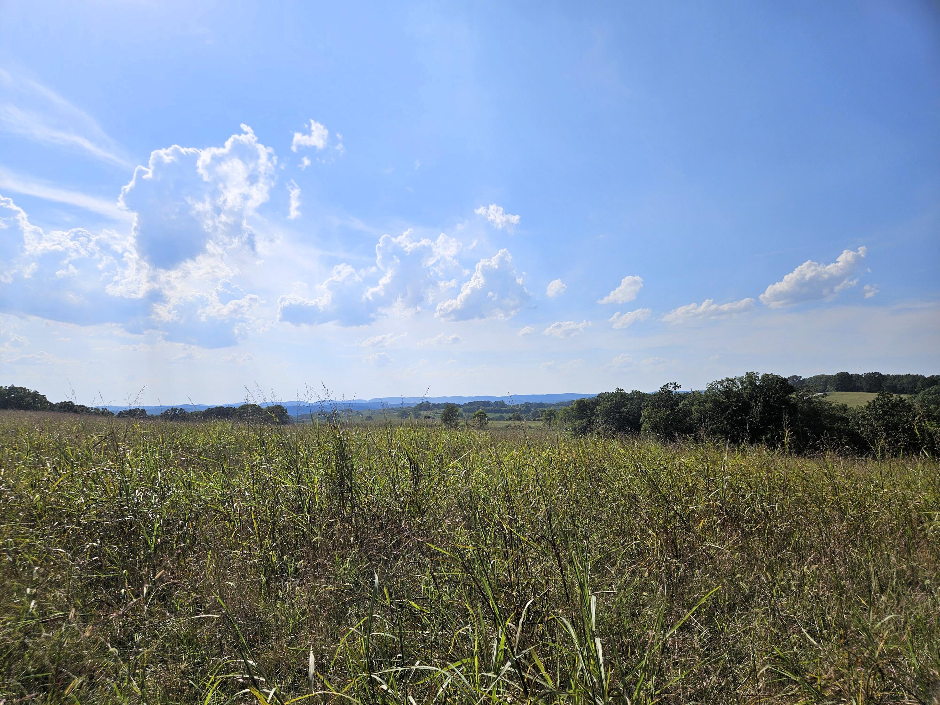 4160 State Highway Jj Property Photo 27
