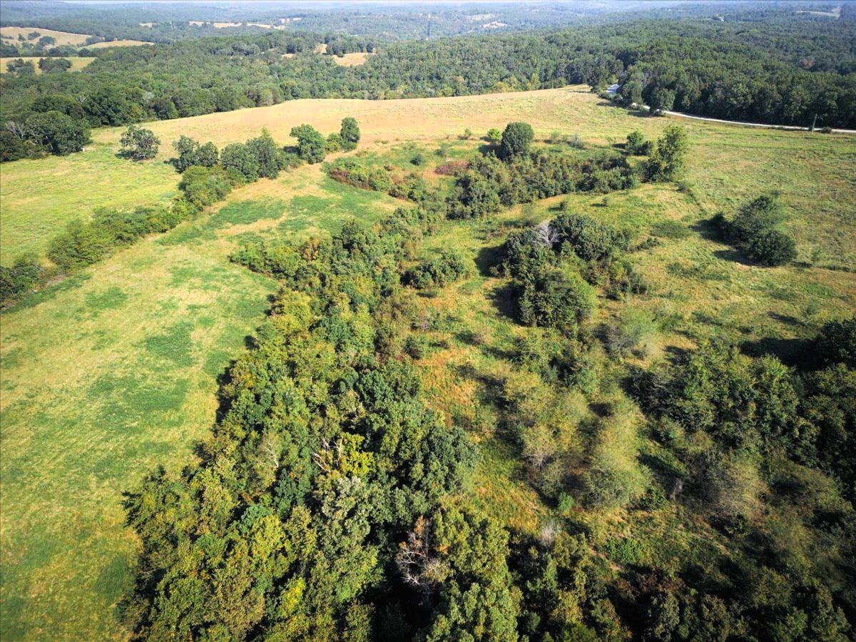 4160 State Highway Jj Property Photo 28