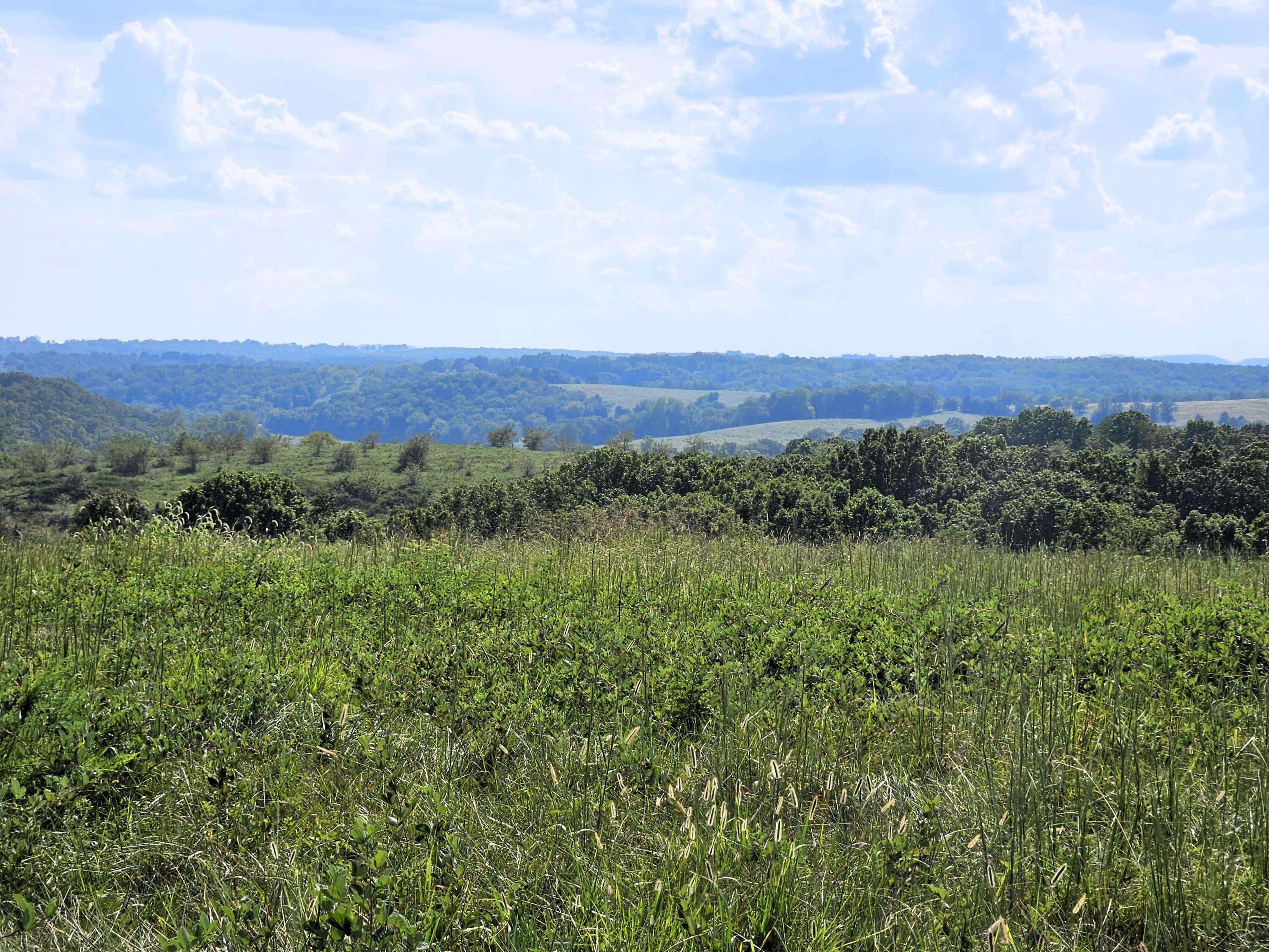4160 State Highway Jj Property Photo 29