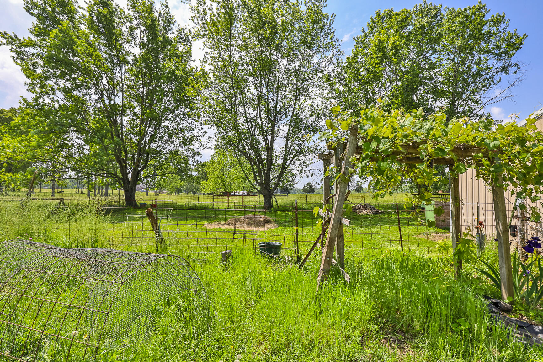1514 Highway 32 Property Photo 36