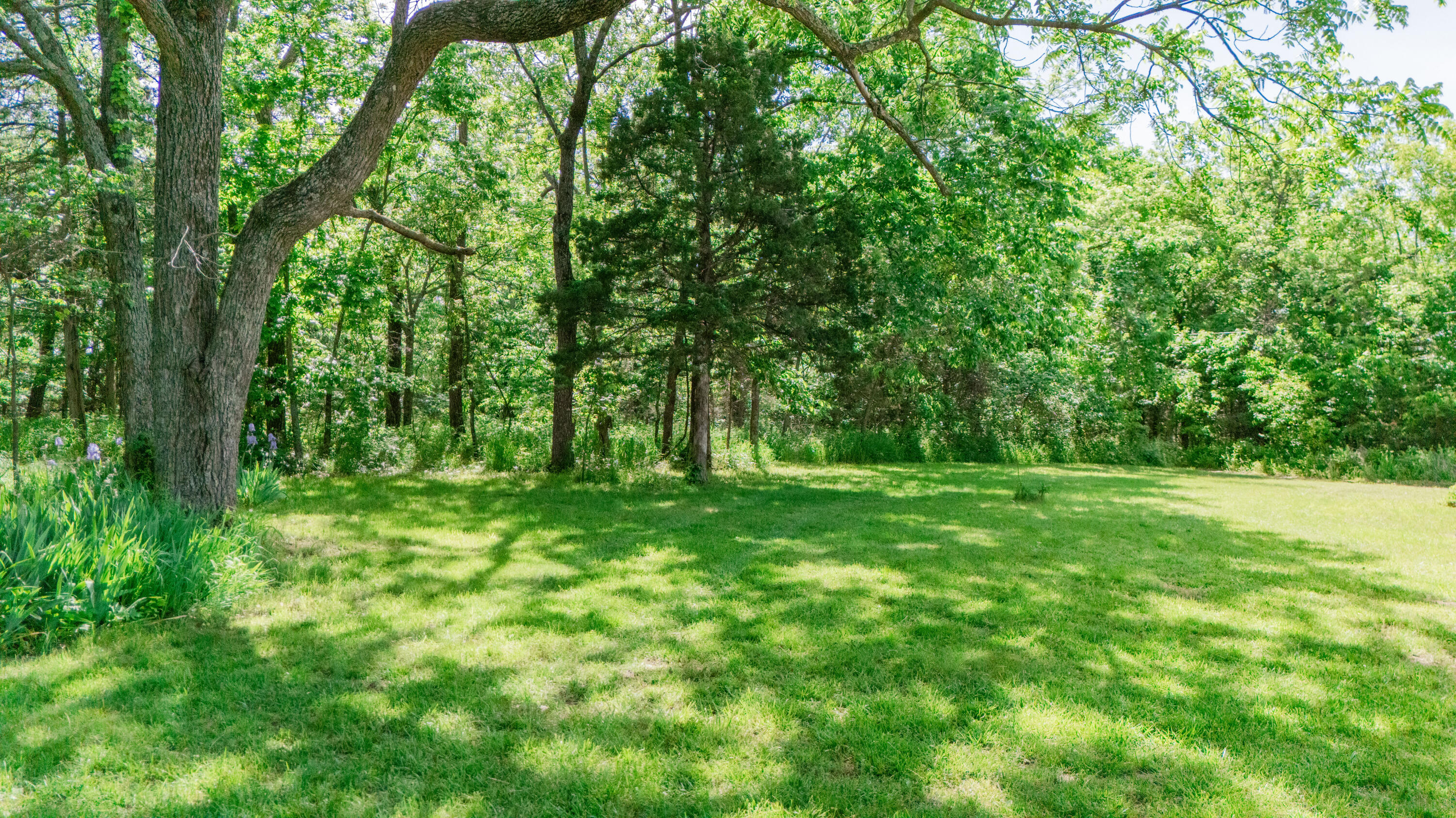 21595 County Road 273 Property Photo 31