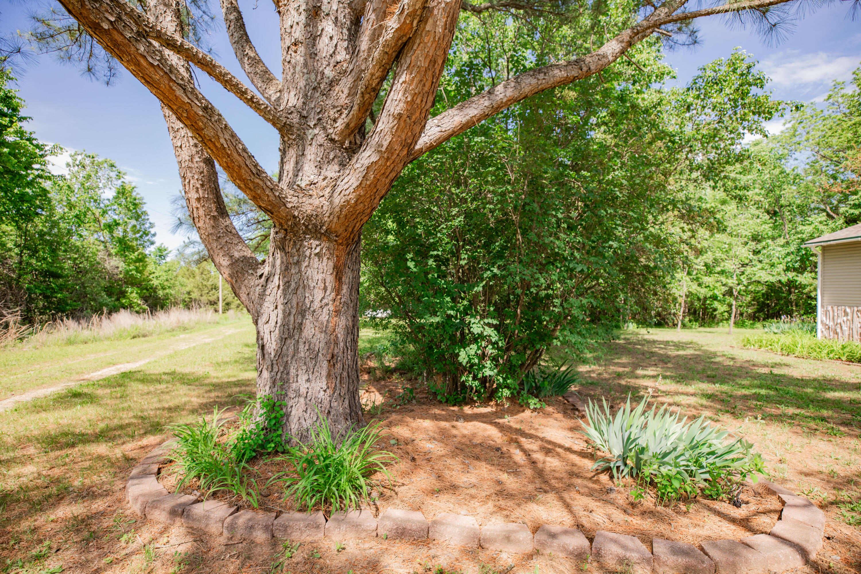 21595 County Road 273 Property Photo 32