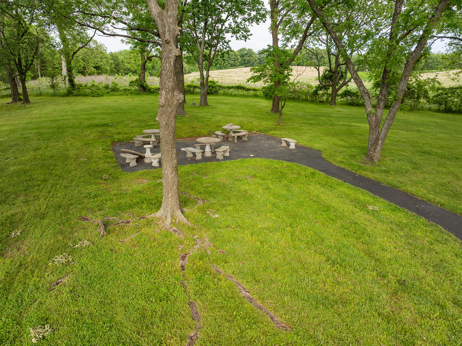2310 Lakeside Court Property Photo 66