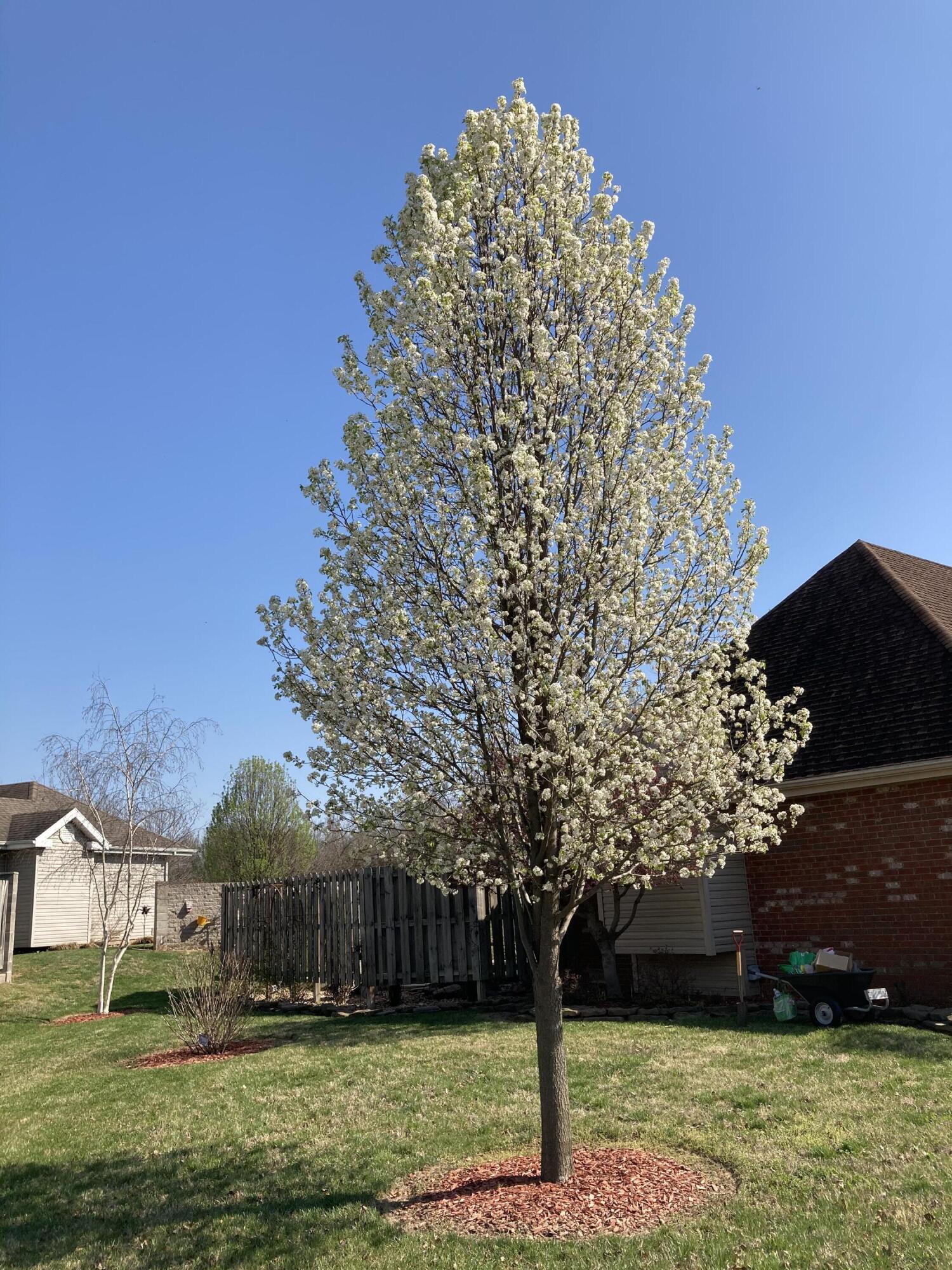 2820 Waters Edge Boulevard Property Photo 14