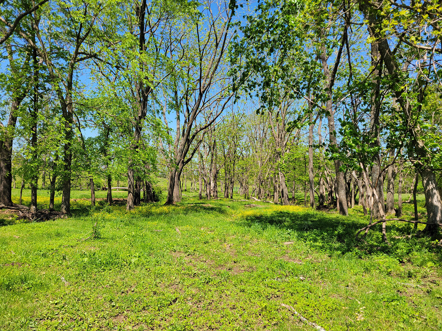 0 Red Barn Road Property Photo 46