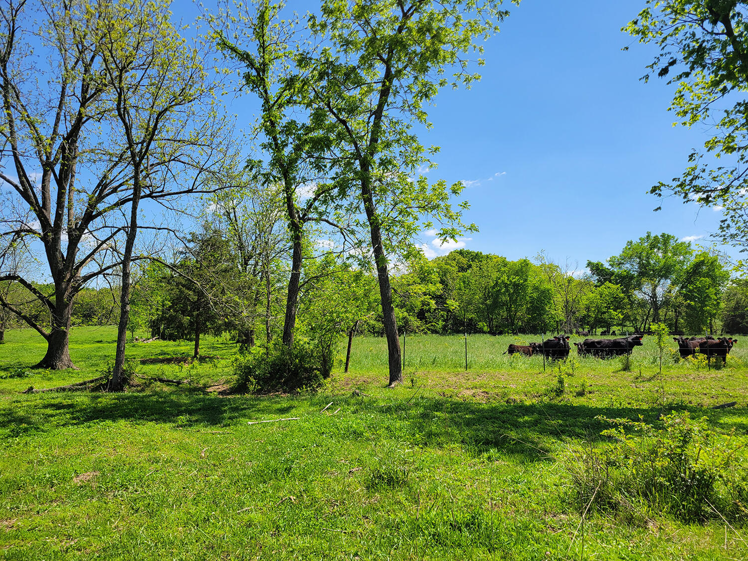 0 Red Barn Road Property Photo 48
