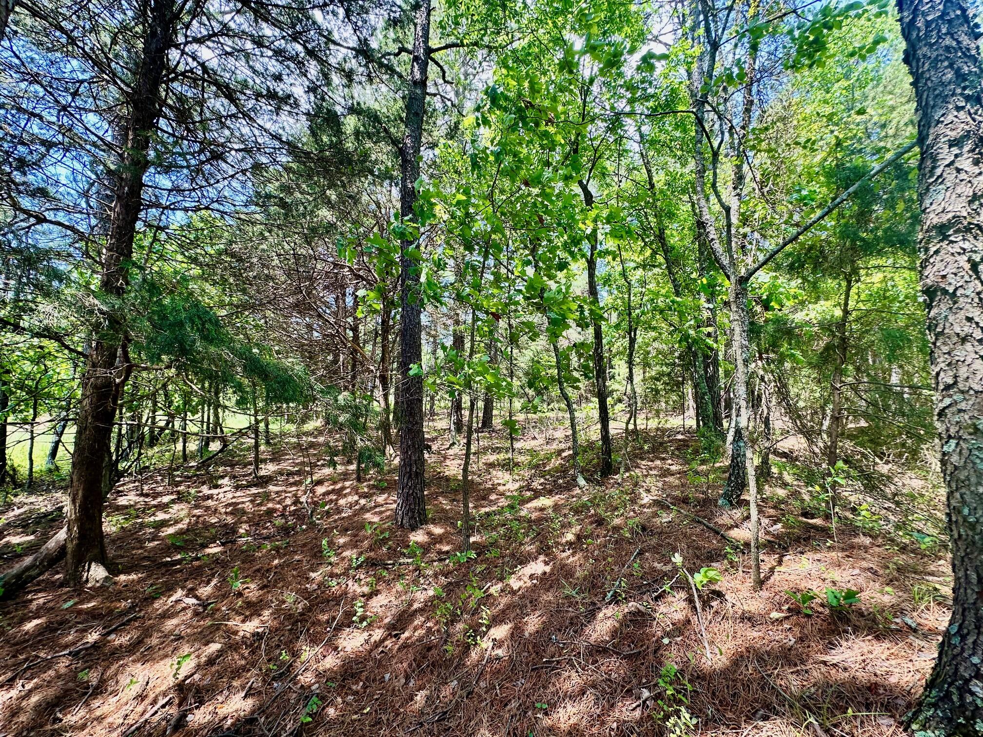 3109 Cr Ww-b Property Photo 28