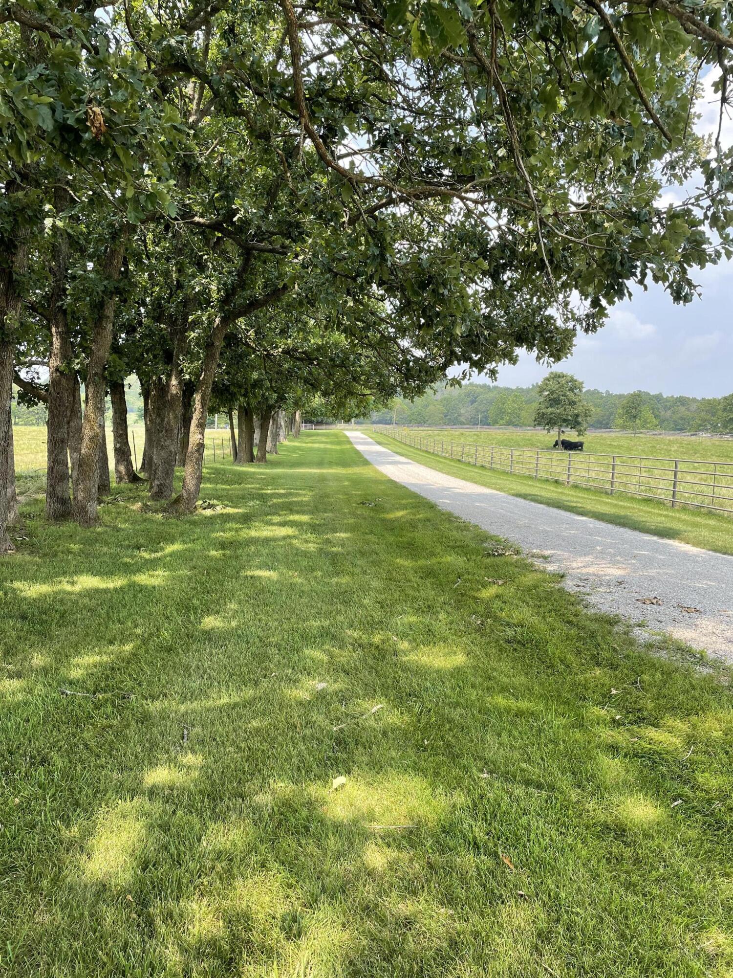 1007 Headwaters Drive Property Photo 124