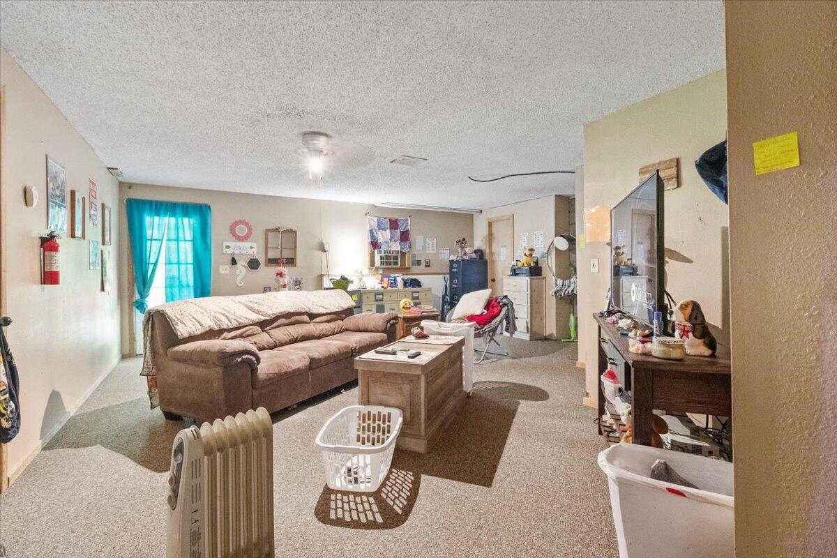 16888 Mo. Highway 19 Property Photo 19