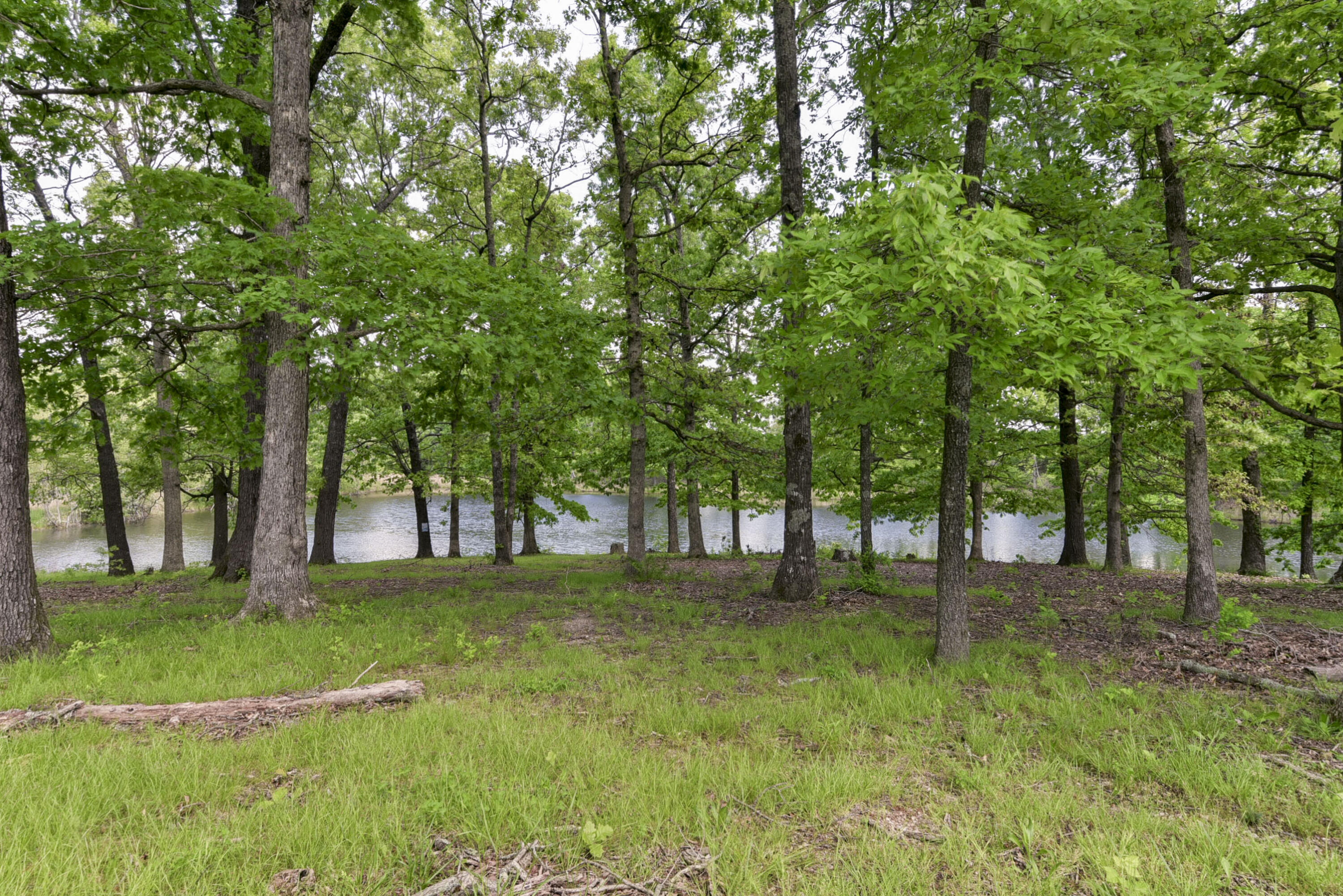 3871 County Road 4220 Property Photo 12
