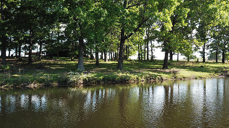 3871 County Road 4220 Property Photo 52