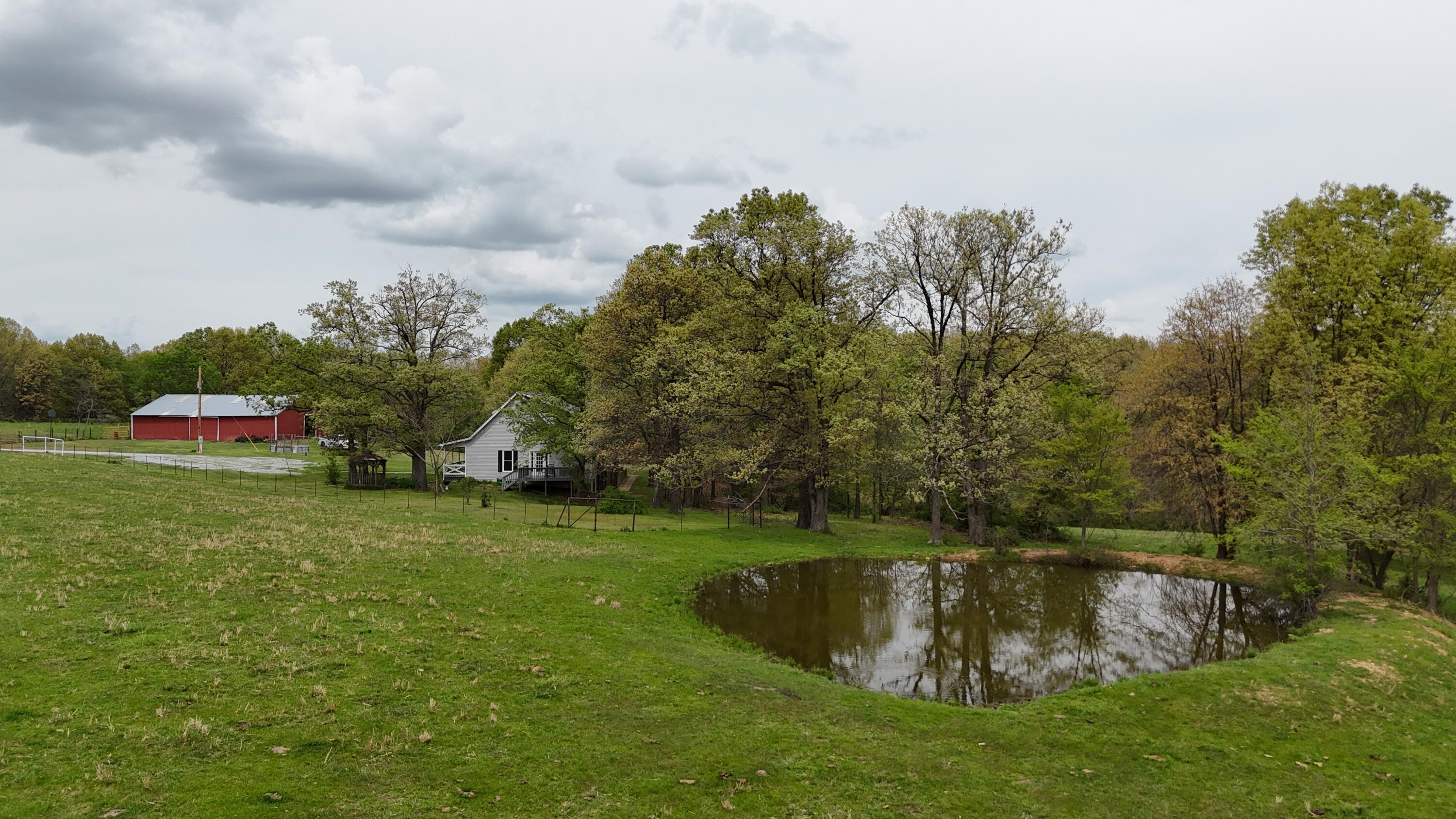 12452 State Hwy C Property Photo 6