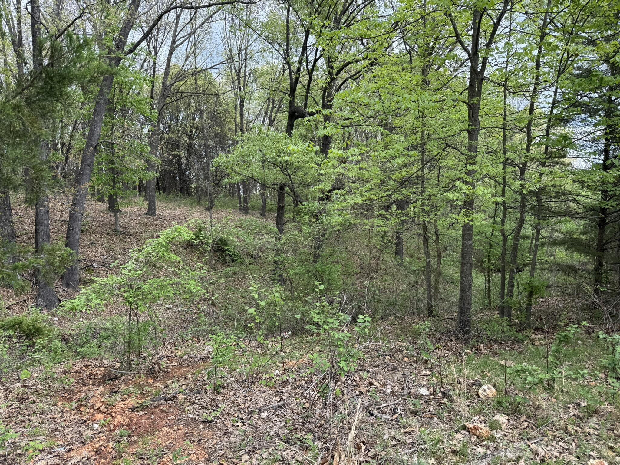 12452 State Hwy C Property Photo 21
