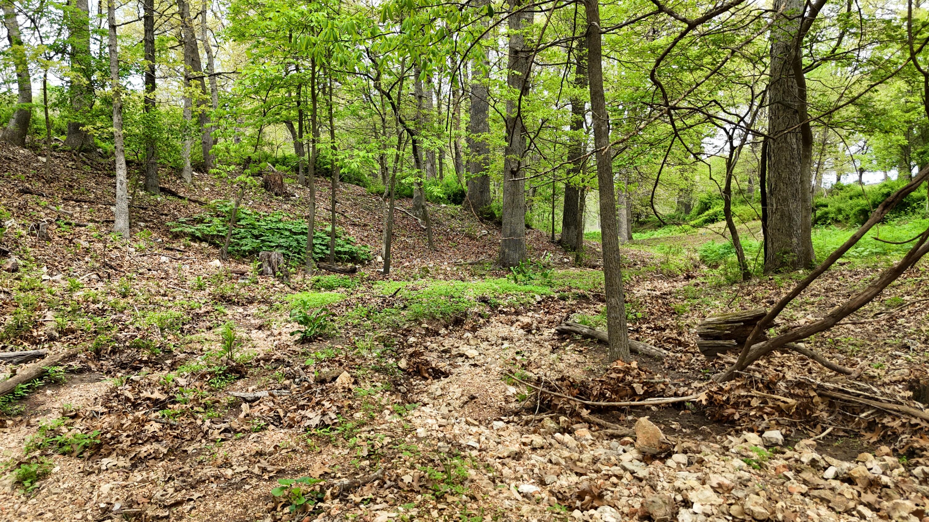 12452 State Hwy C Property Photo 22