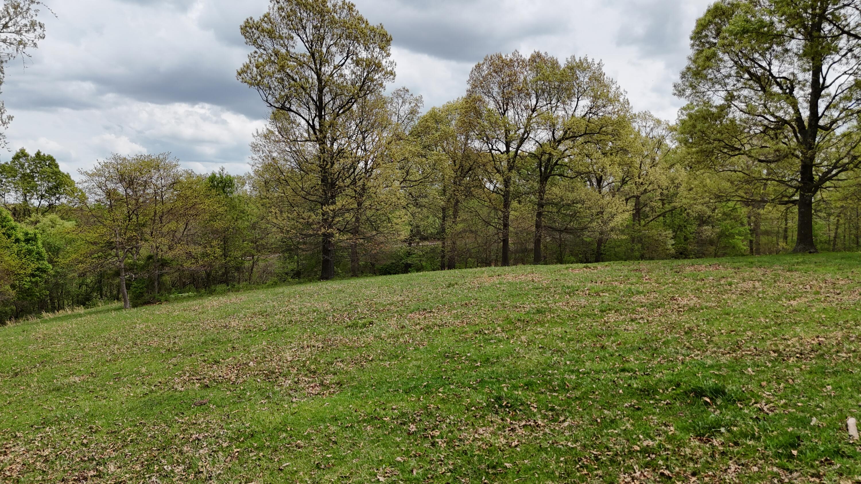 12452 State Hwy C Property Photo 27