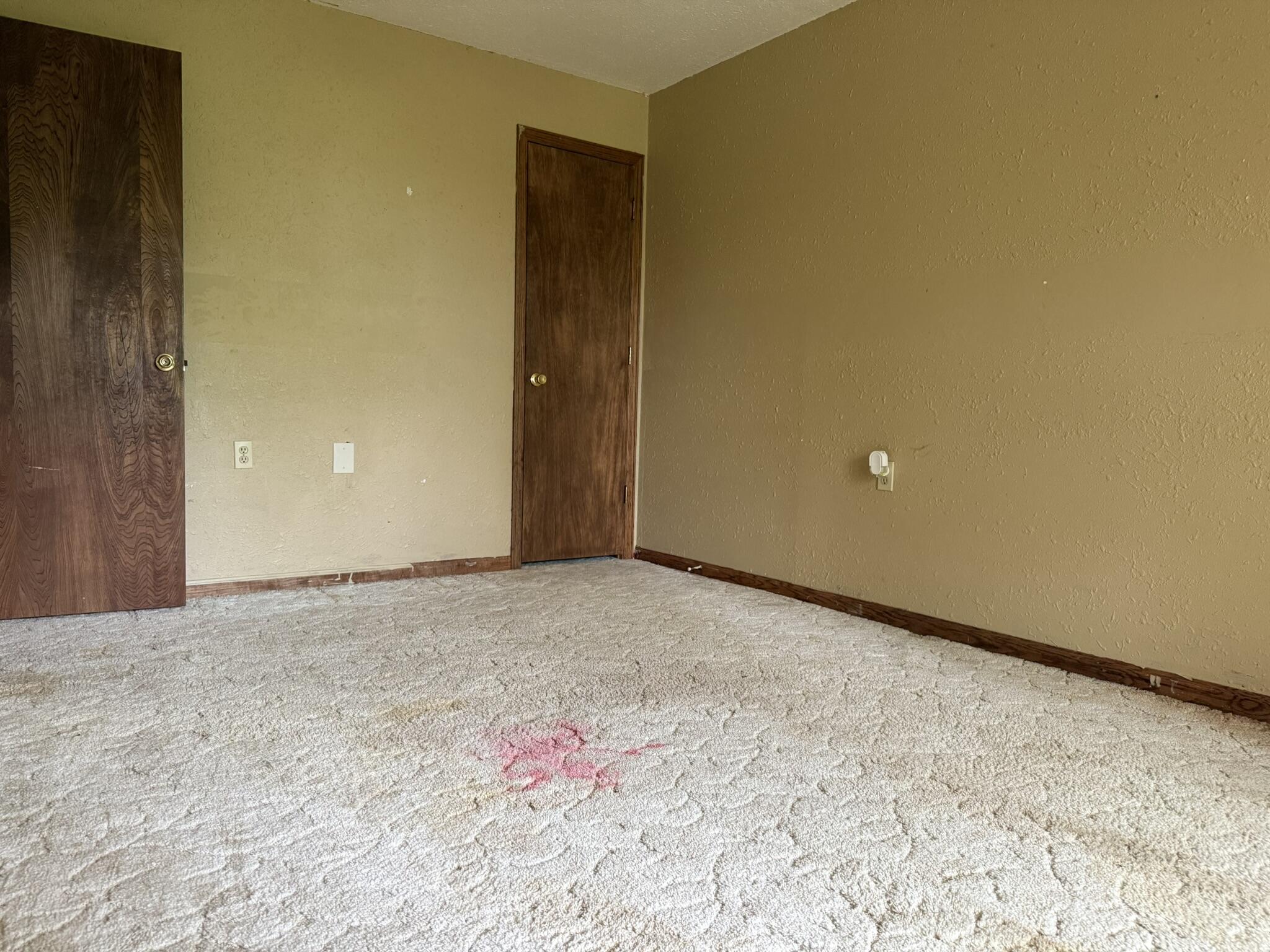 12452 State Hwy C Property Photo 37