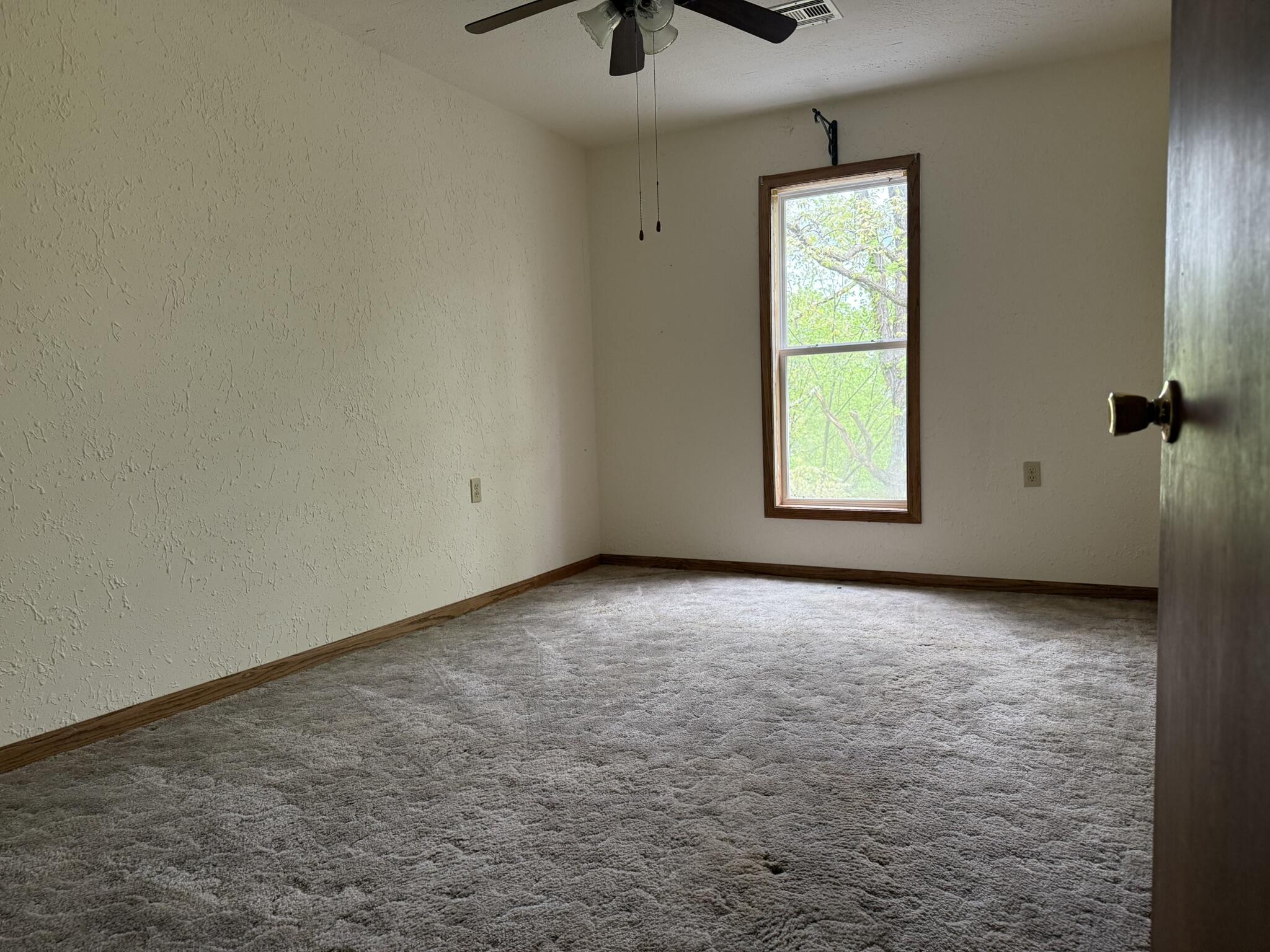 12452 State Hwy C Property Photo 38