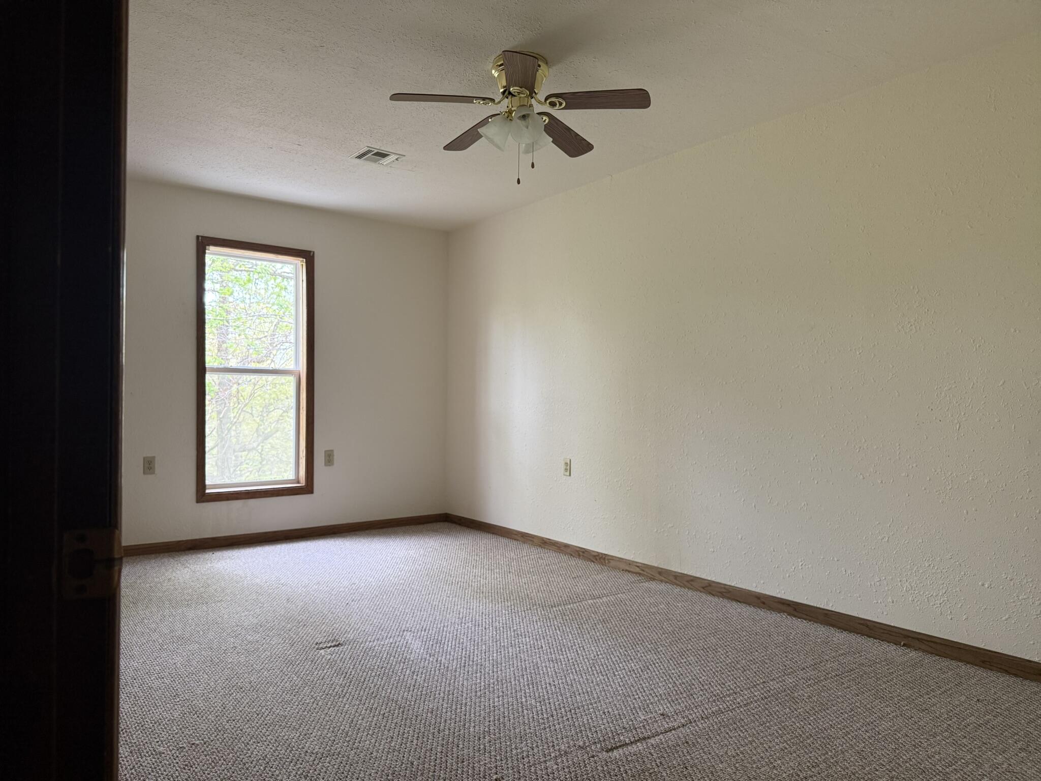 12452 State Hwy C Property Photo 39