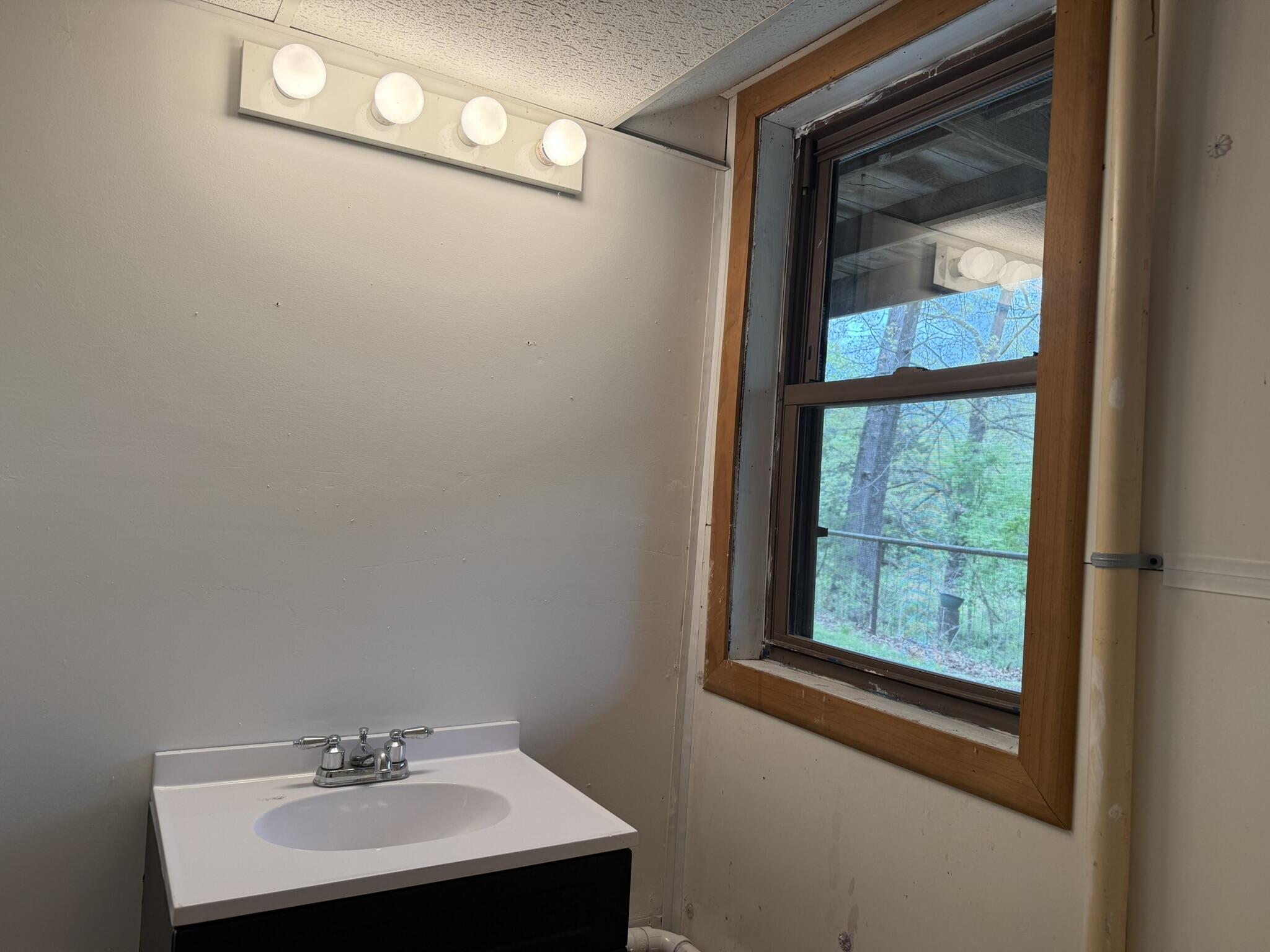 12452 State Hwy C Property Photo 54
