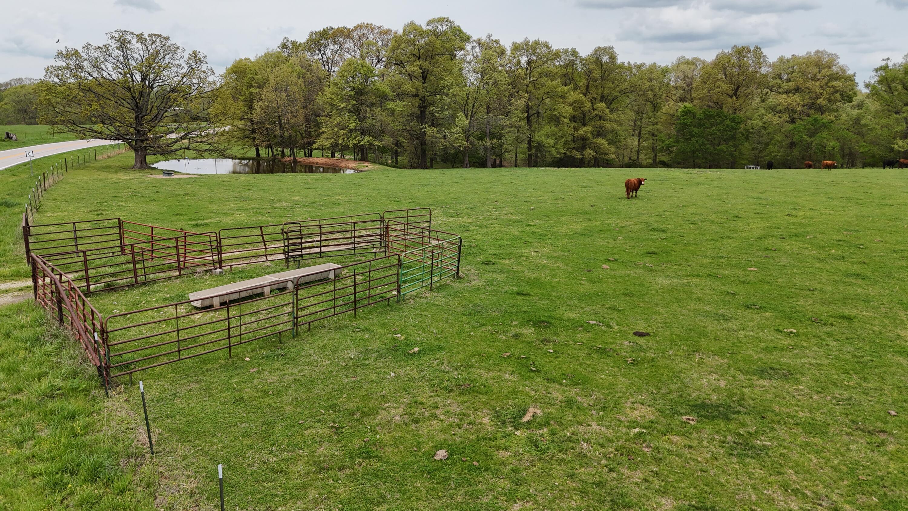 12452 State Hwy C Property Photo 61