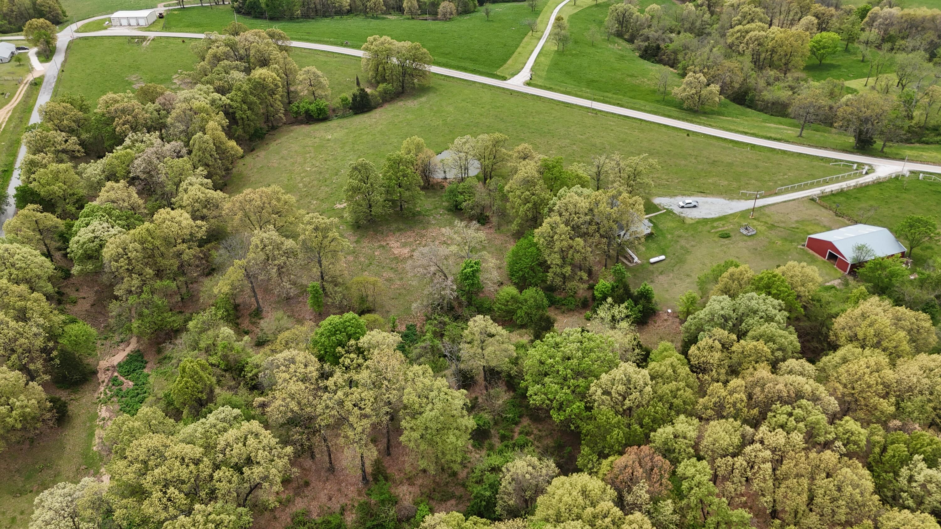 12452 State Hwy C Property Photo 63