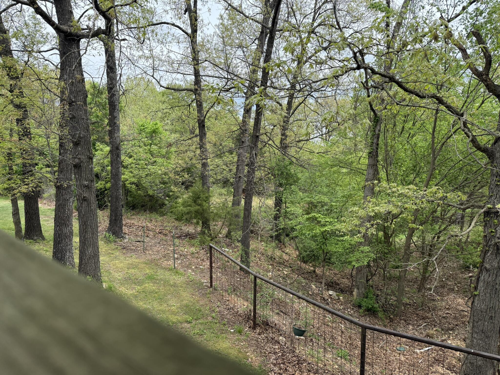 12452 State Hwy C Property Photo 68