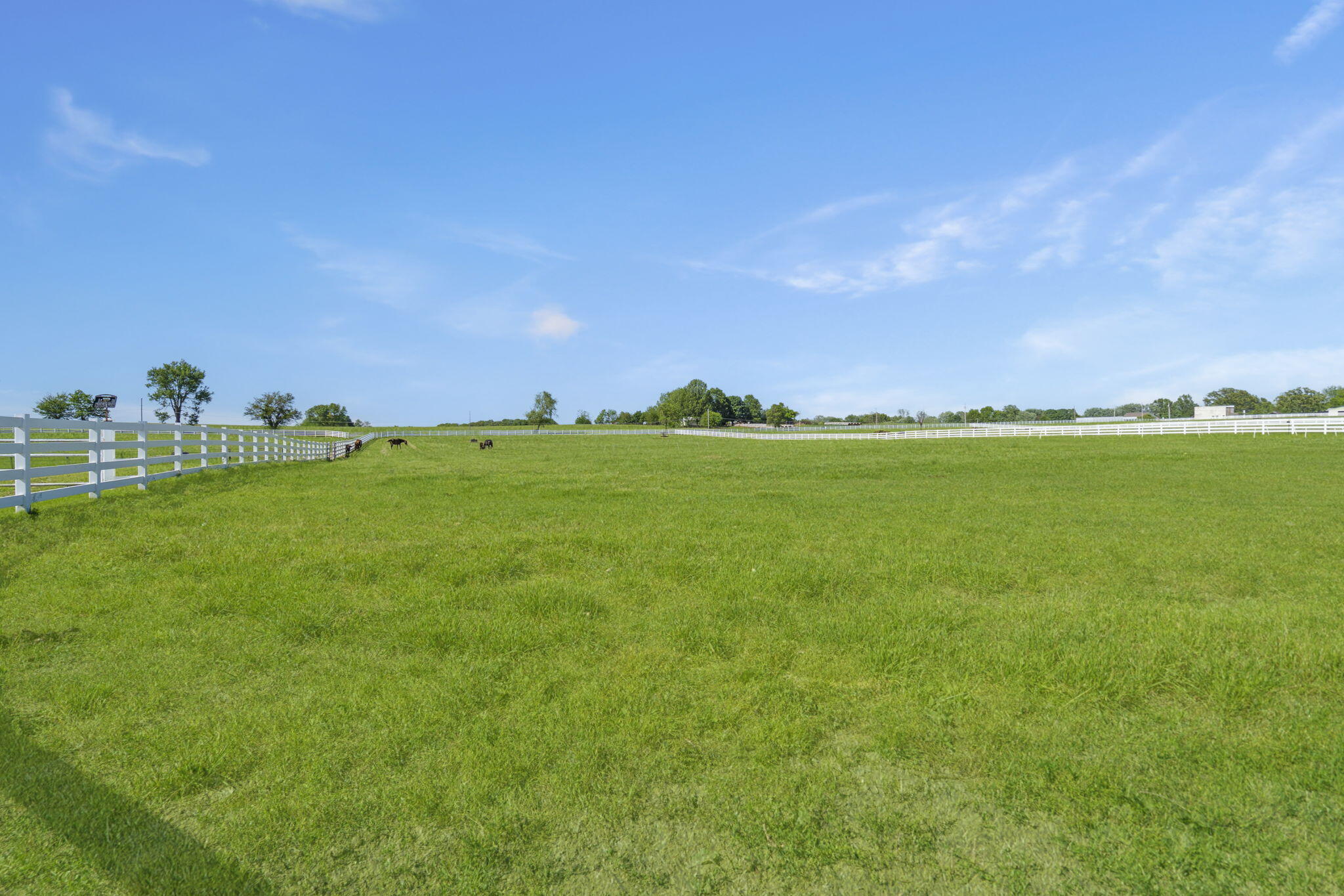 3731 South Farm Road 219 Property Photo 50