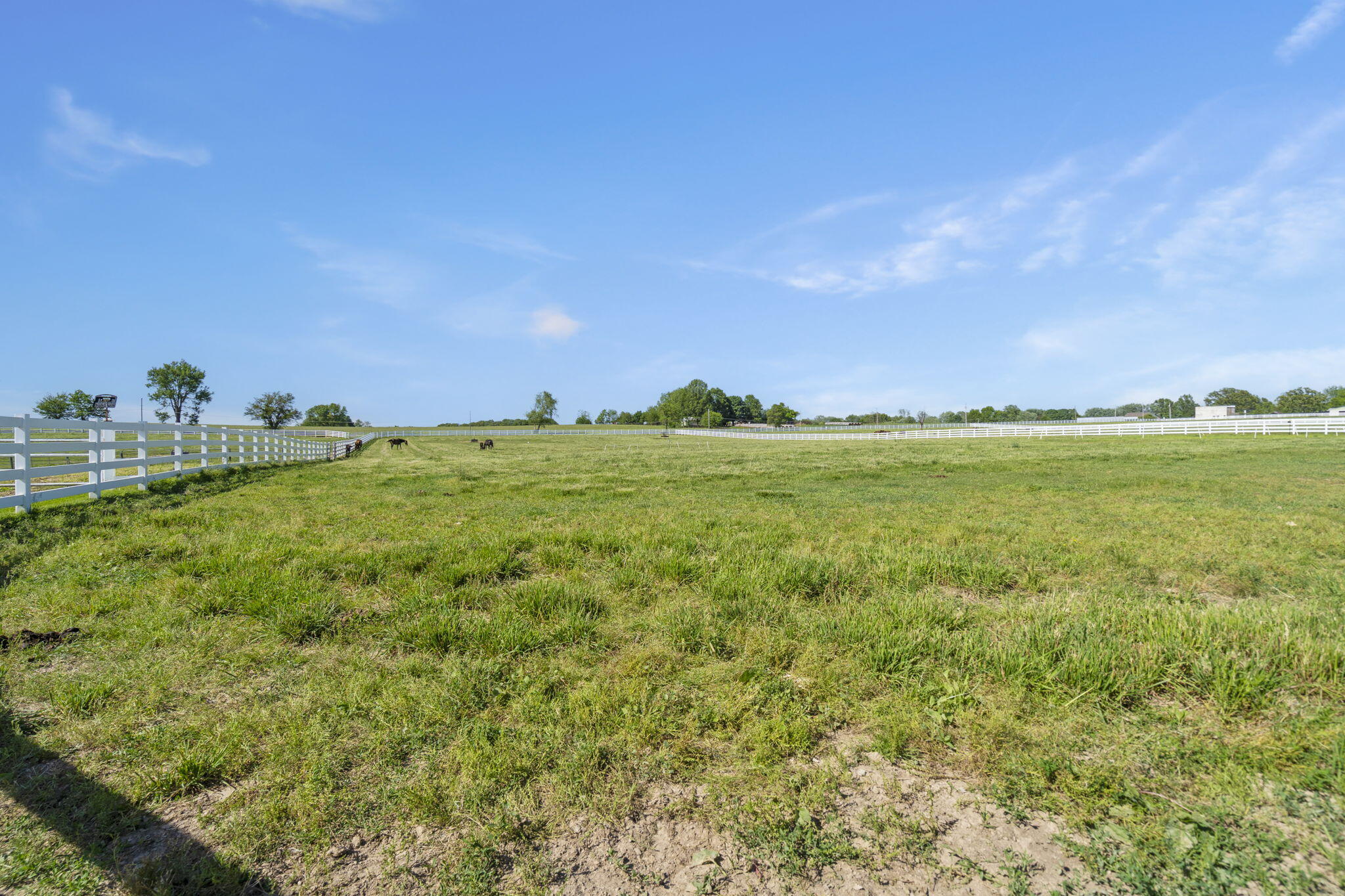 3731 South Farm Road 219 Property Photo 54