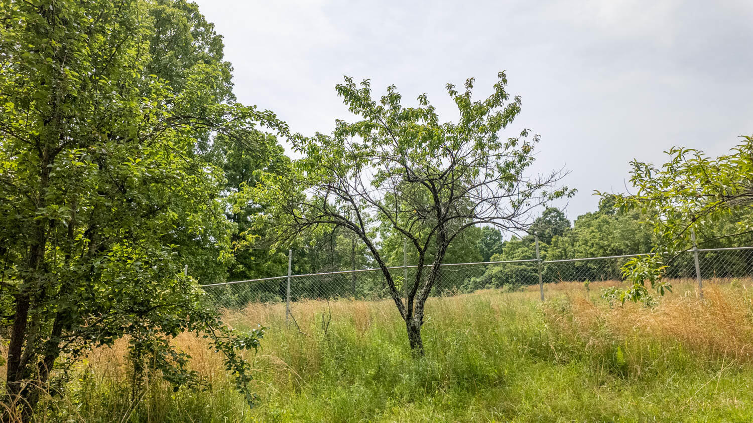 172 Missouri Highway 63 Property Photo 64