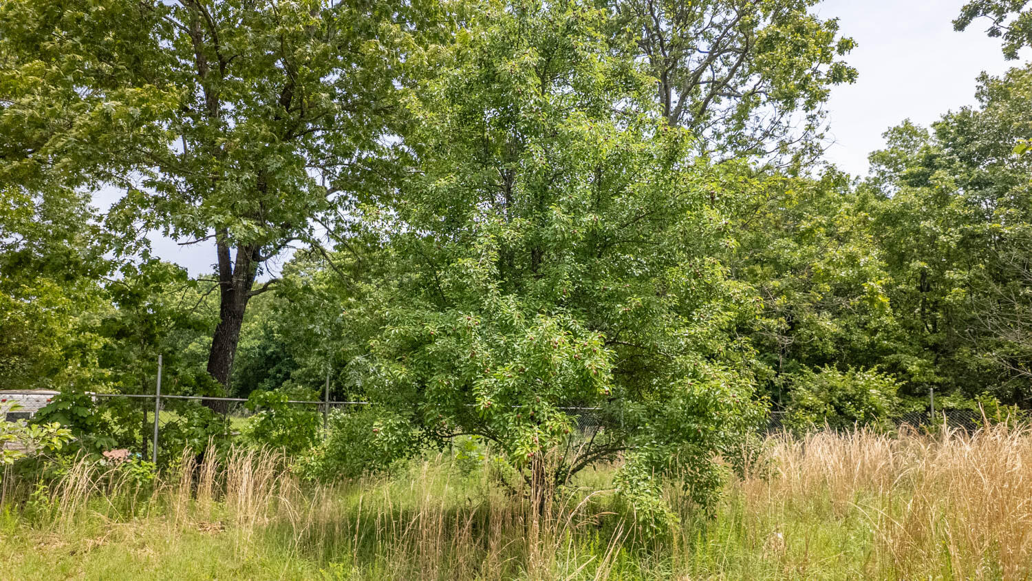 172 Missouri Highway 63 Property Photo 65