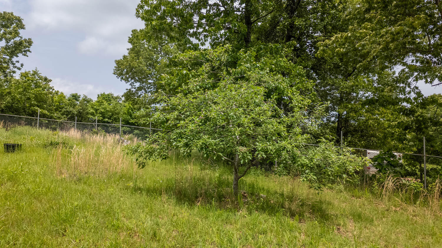 172 Missouri Highway 63 Property Photo 66