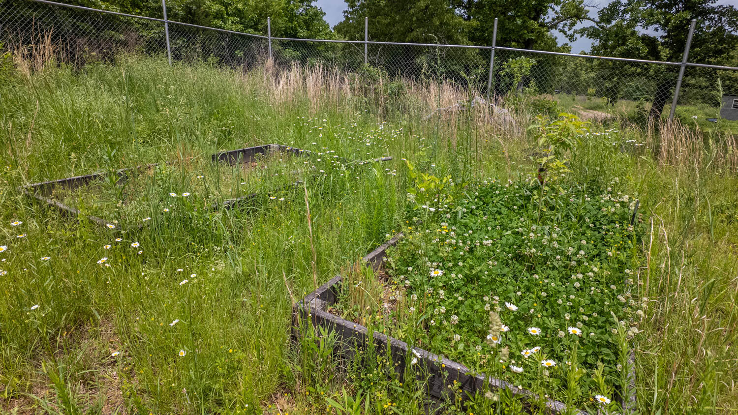 172 Missouri Highway 63 Property Photo 67