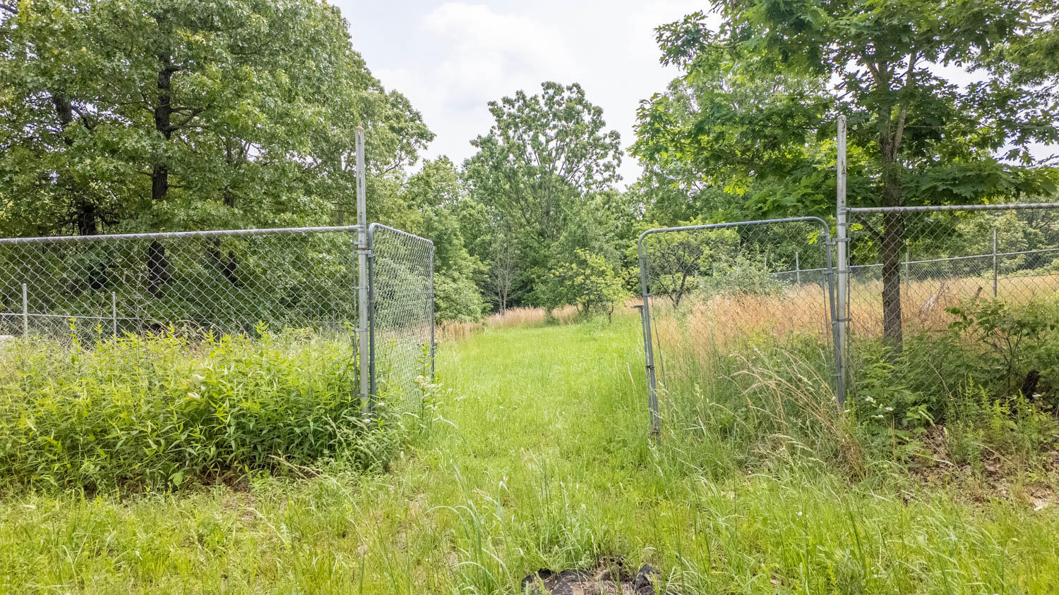 172 Missouri Highway 63 Property Photo 69