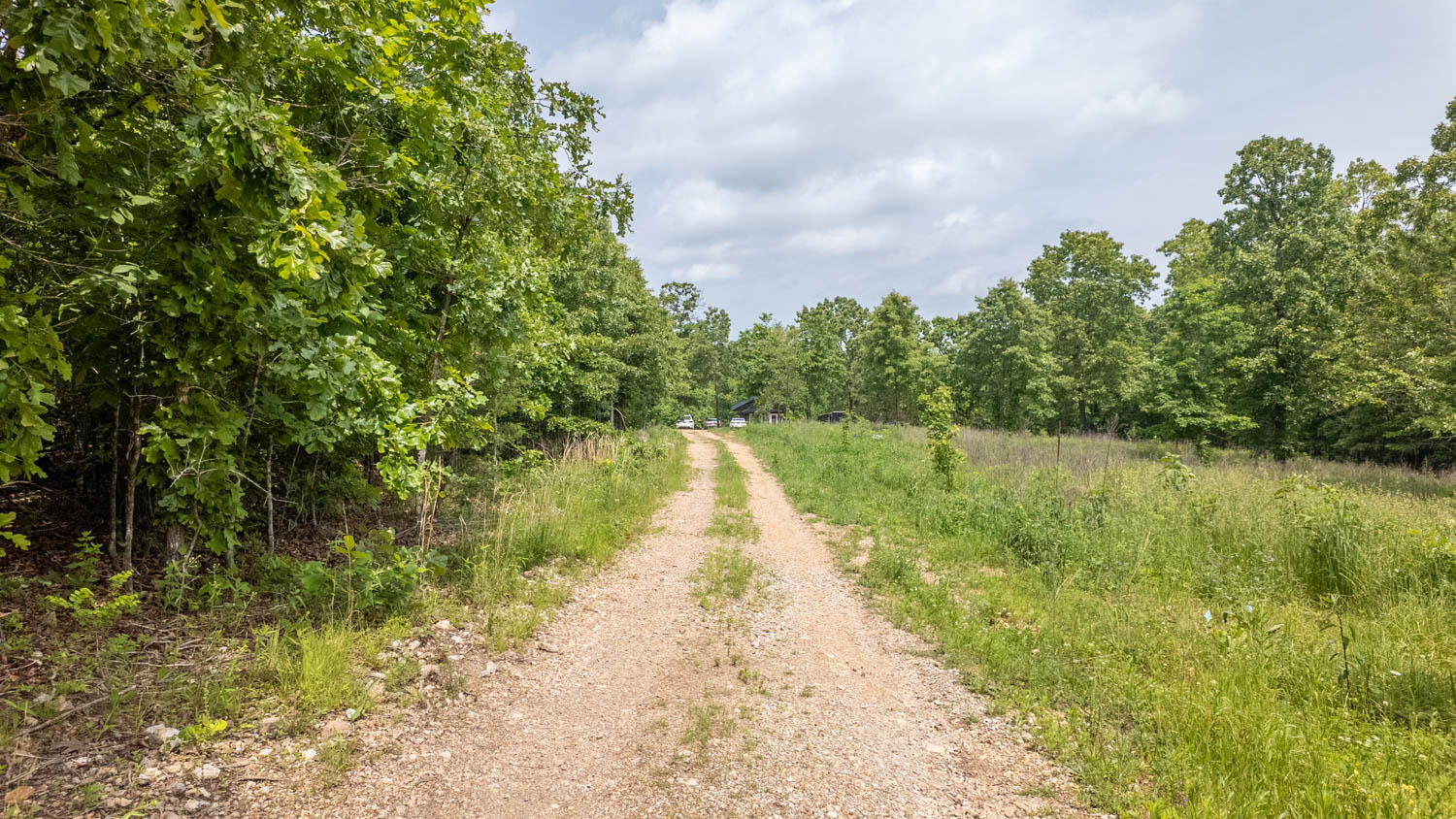 172 Missouri Highway 63 Property Photo 71