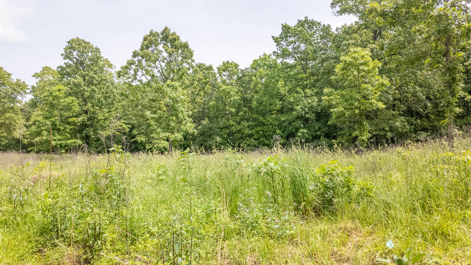 172 Missouri Highway 63 Property Photo 72