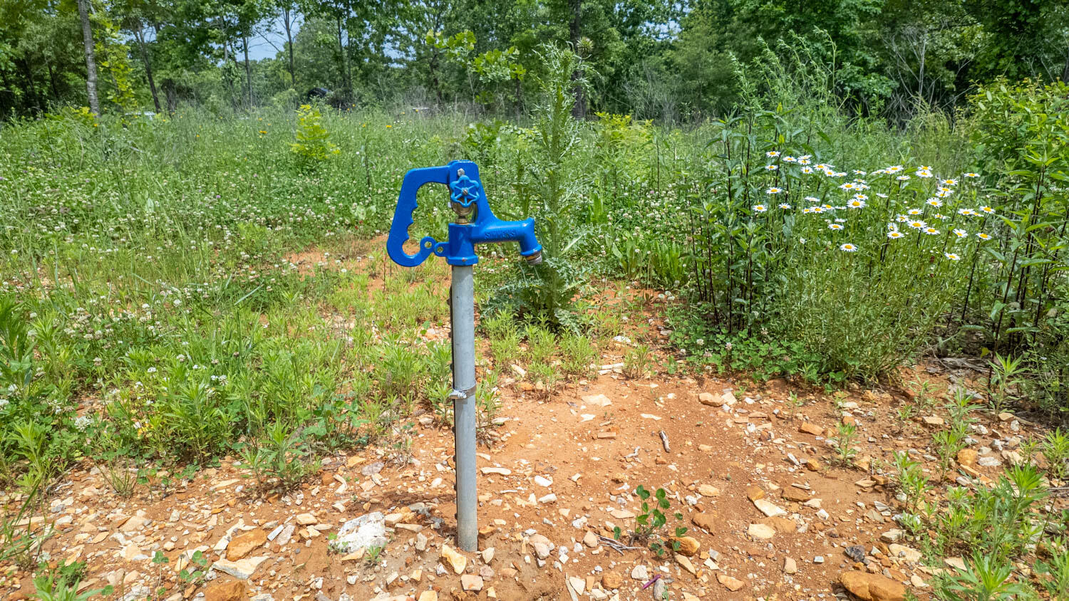 172 Missouri Highway 63 Property Photo 73