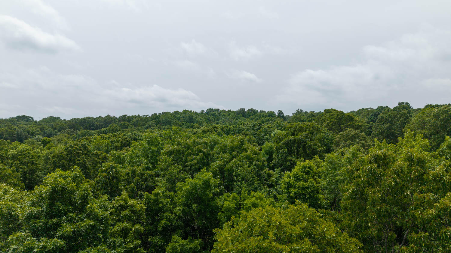 172 Missouri Highway 63 Property Photo 76