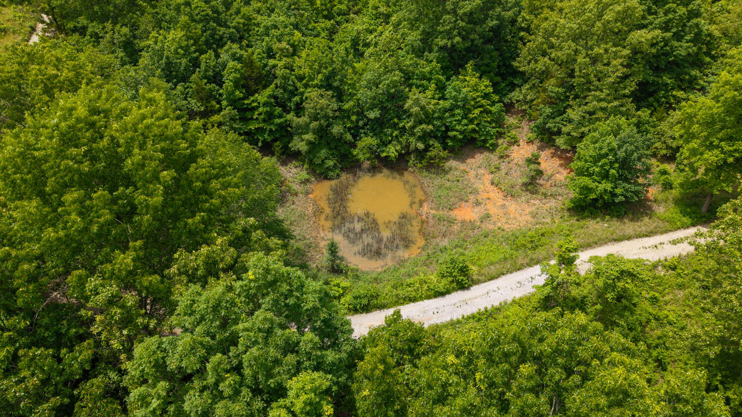 172 Missouri Highway 63 Property Photo 81