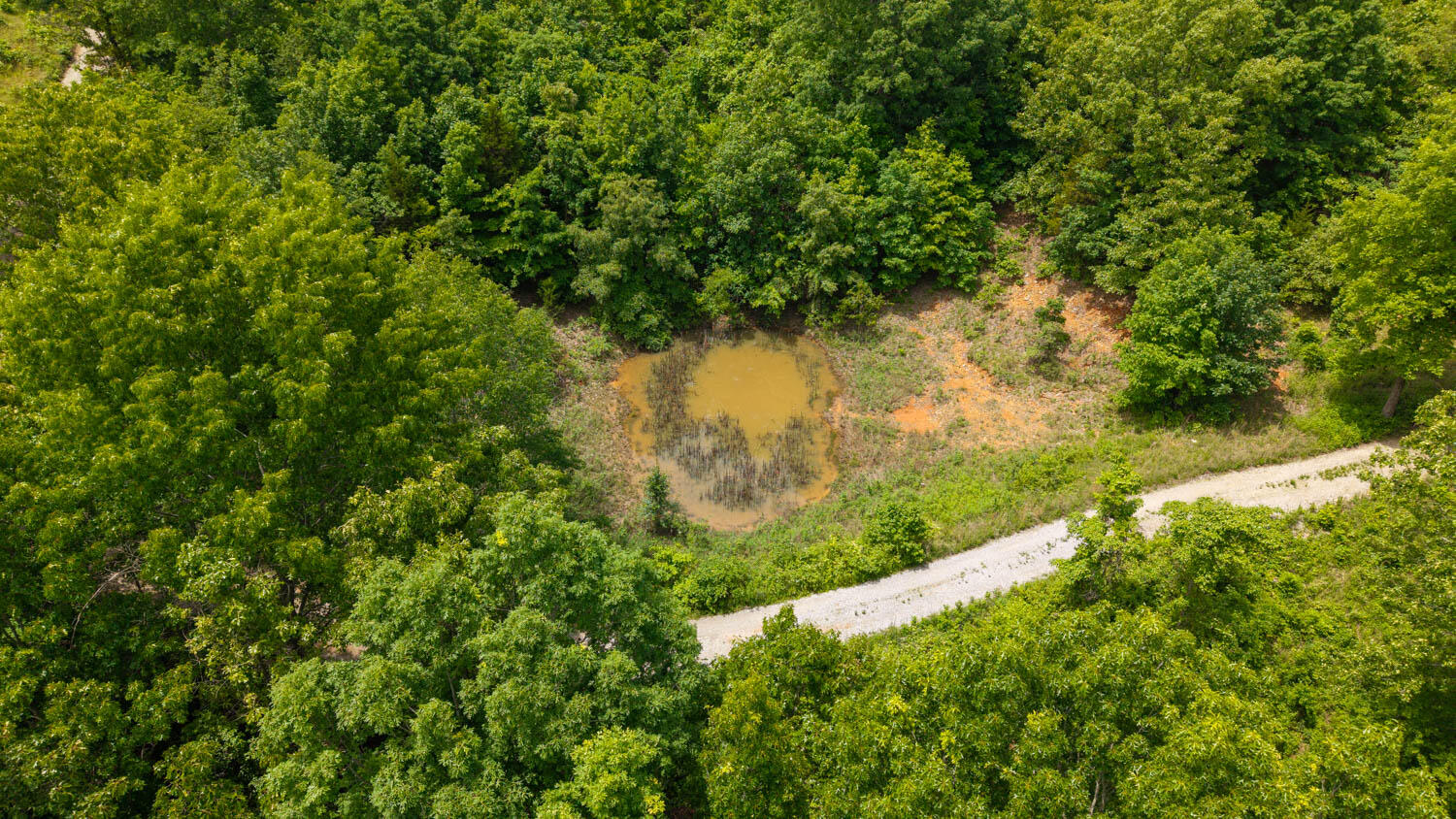 172 Missouri Highway 63 Property Photo 82